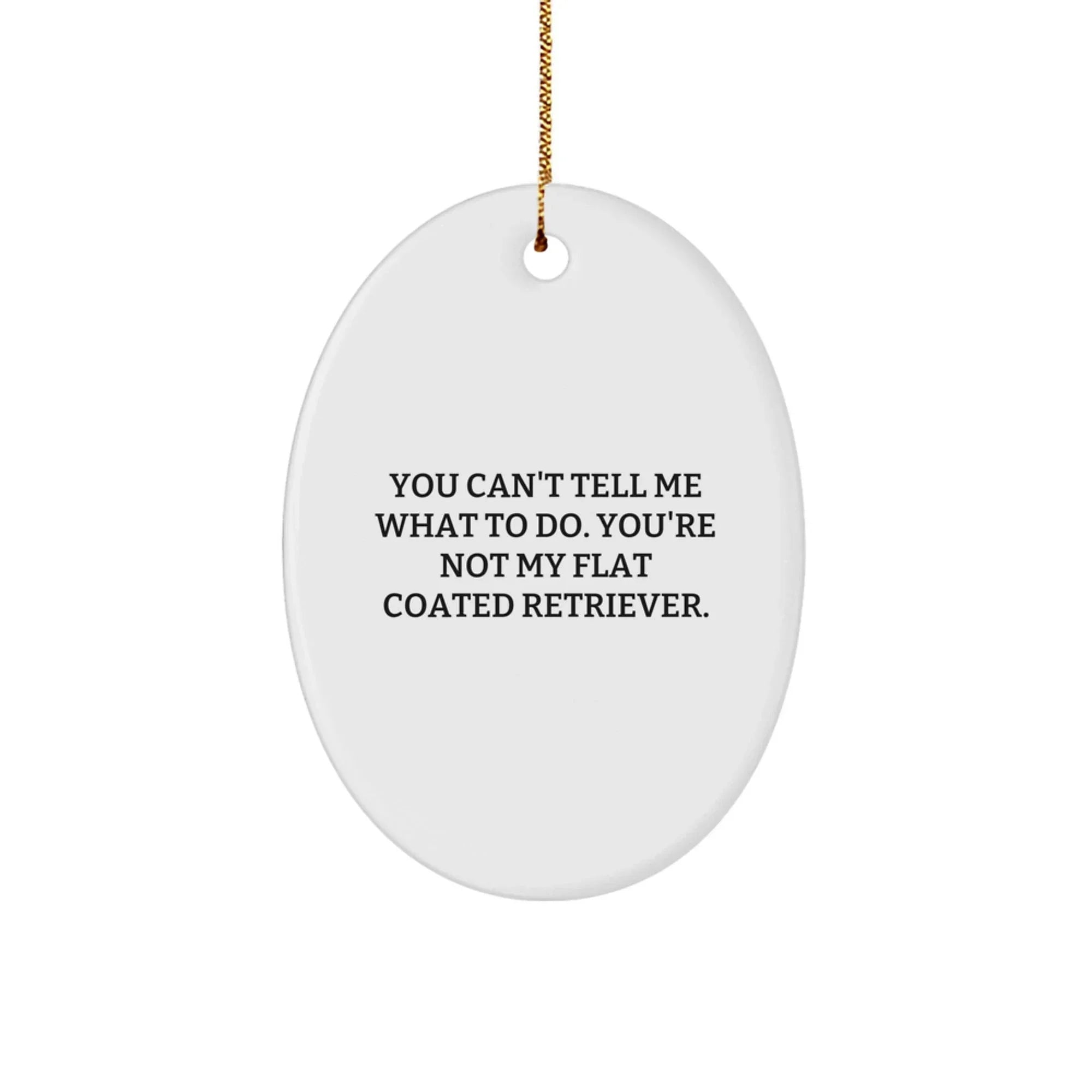Flat Coated Retriever Dog Gifts Funny Oval Ornament from Friends for Christmas