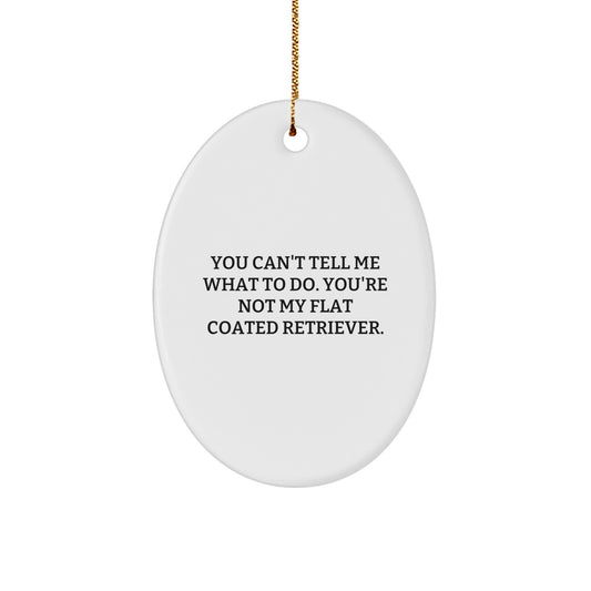 Flat Coated Retriever Dog Gifts Funny Oval Ornament from Friends for Christmas