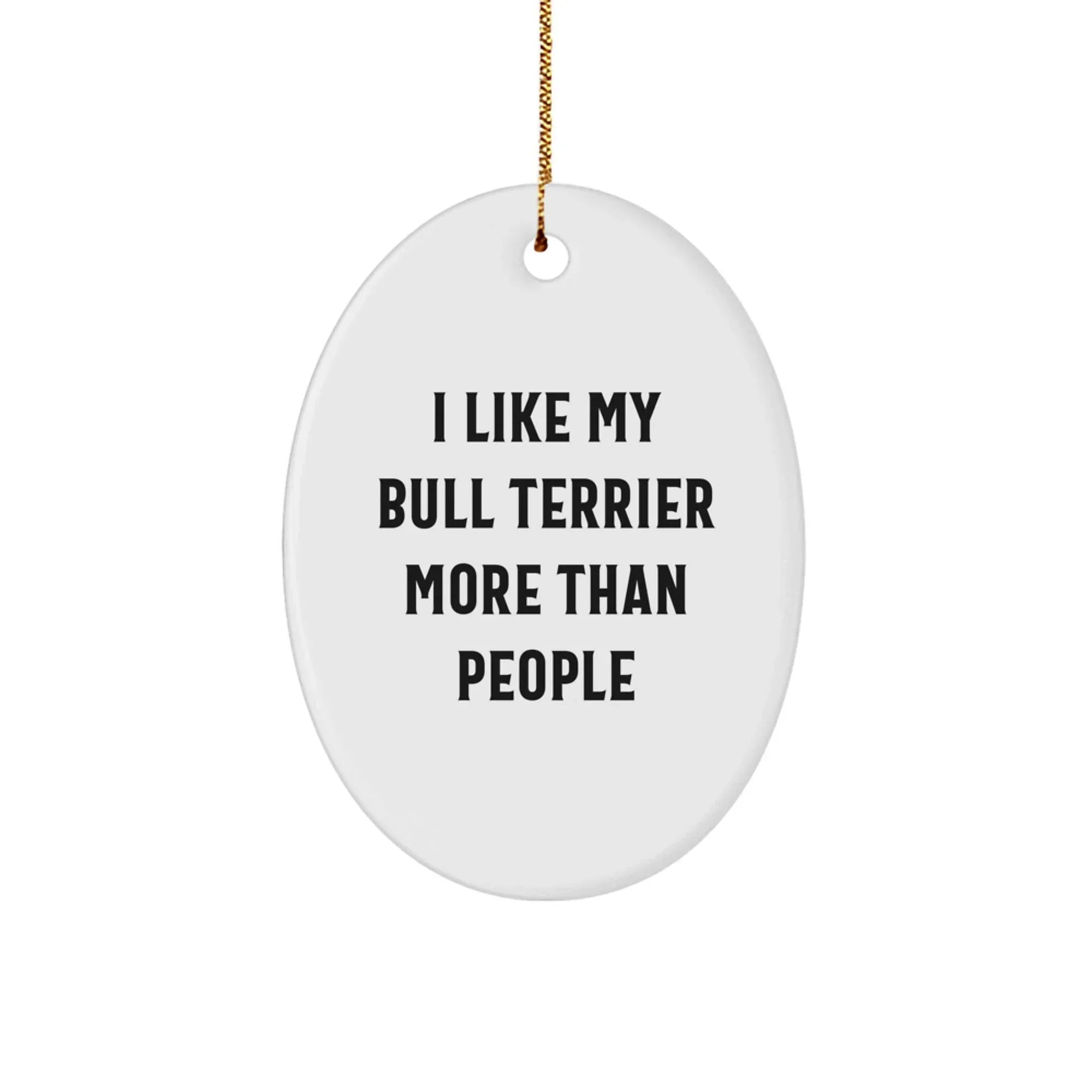 Funny Bull Terrier Dog Lover Christmas Oval Ornament Gifts for Men from Friends and Family, I Like My Bull Terrier More Than People