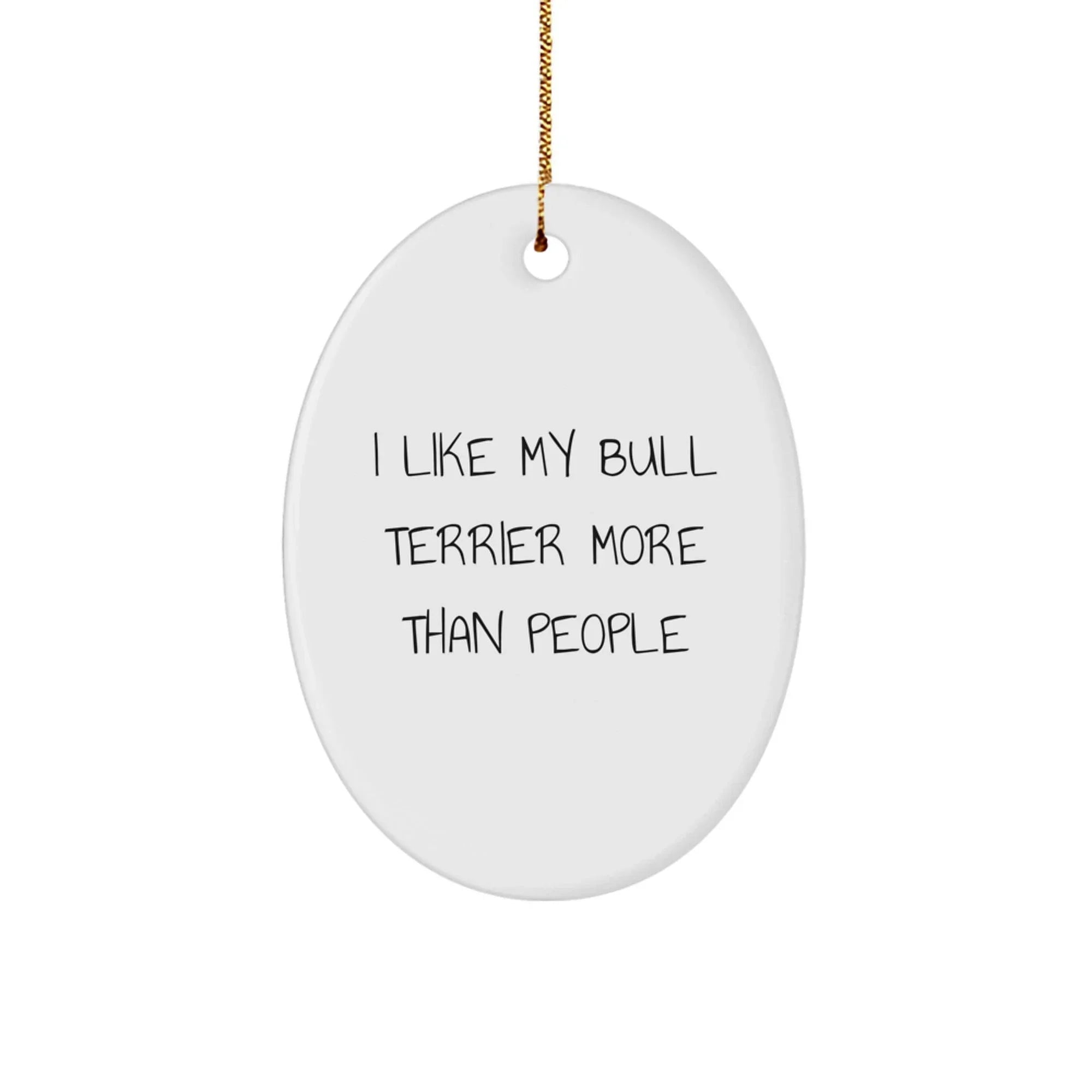 Funny Bull Terrier Dog Gifts from Friends, Unique Oval Ornament for Bull Terrier Dog Lovers, I 'Like My Bull Terrier More Than People' Christmas Unique Gift