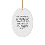 My Havanese Is The Reason I Wake Up... and The Reason I'm Always Late | Oval MDF Ornament with Gloss Finish & Gold Cord