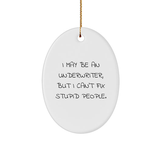 Funny Oval Ornament, Underwriter Gifts, Christmas Unique Gifts from Friends for Underwriter, Oval Ornament, I May Be An Underwriter, But I Can't Fix Stupid People. - Image 1