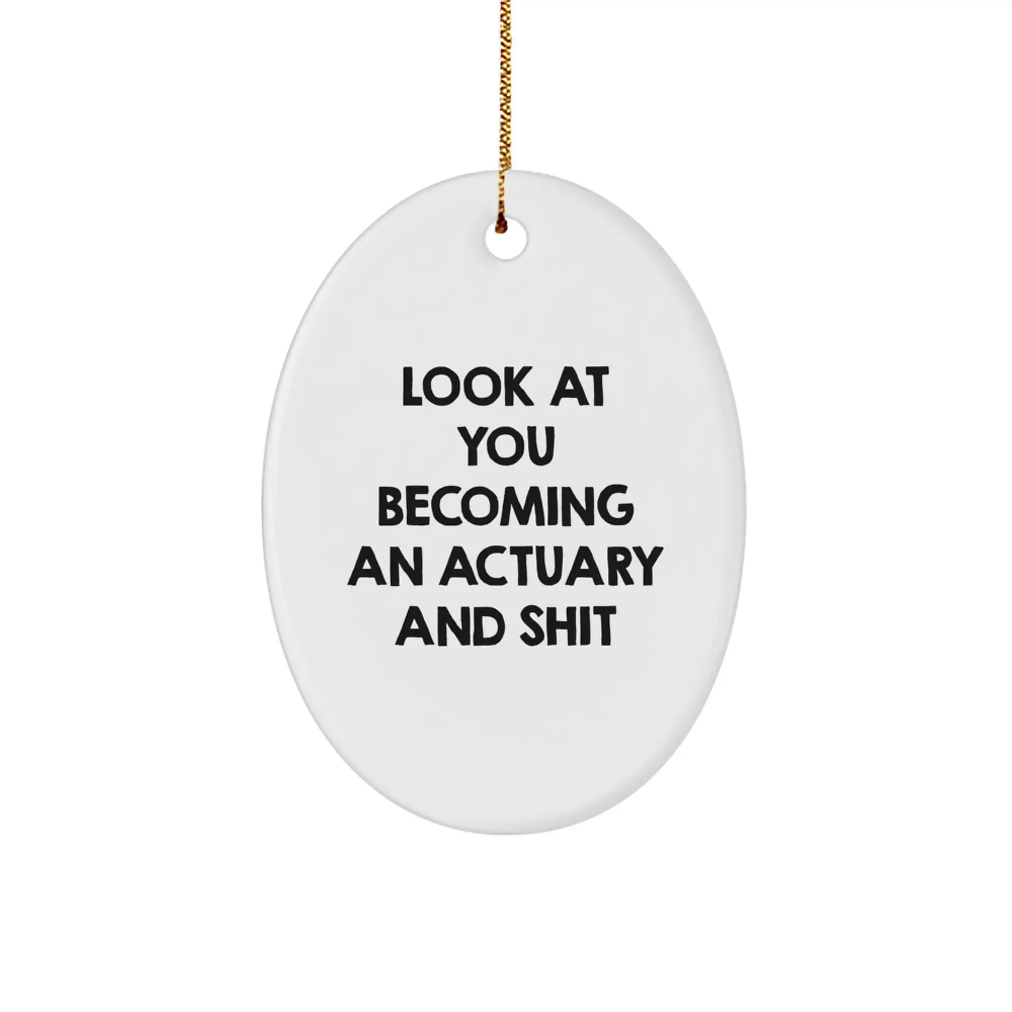 Actuary Treasure Christmas Ornament Gift for Family - Image 1