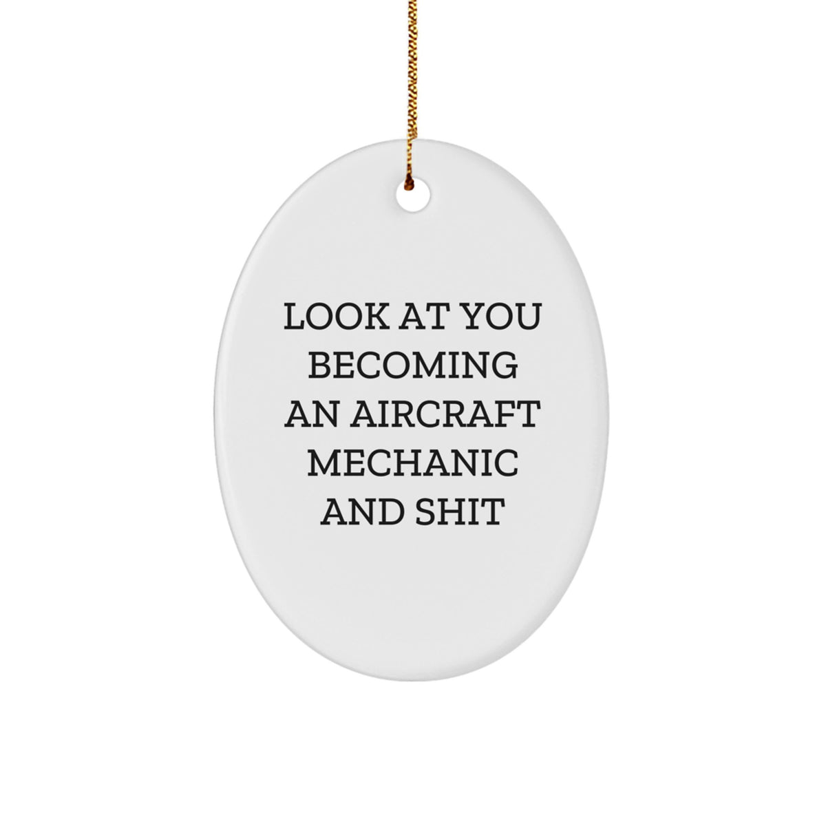 Christmas Ornament Gift for Coworkers Look At You Becoming An Aircraft - Image 1