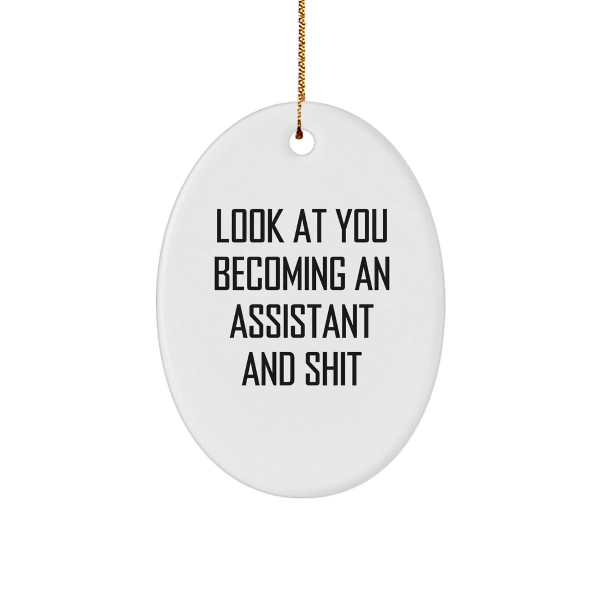 Funny Assistant Oval Ornament Gifts for Men Women Friends Coworkers Family - Unique Office Christmas Decorations - Image 1
