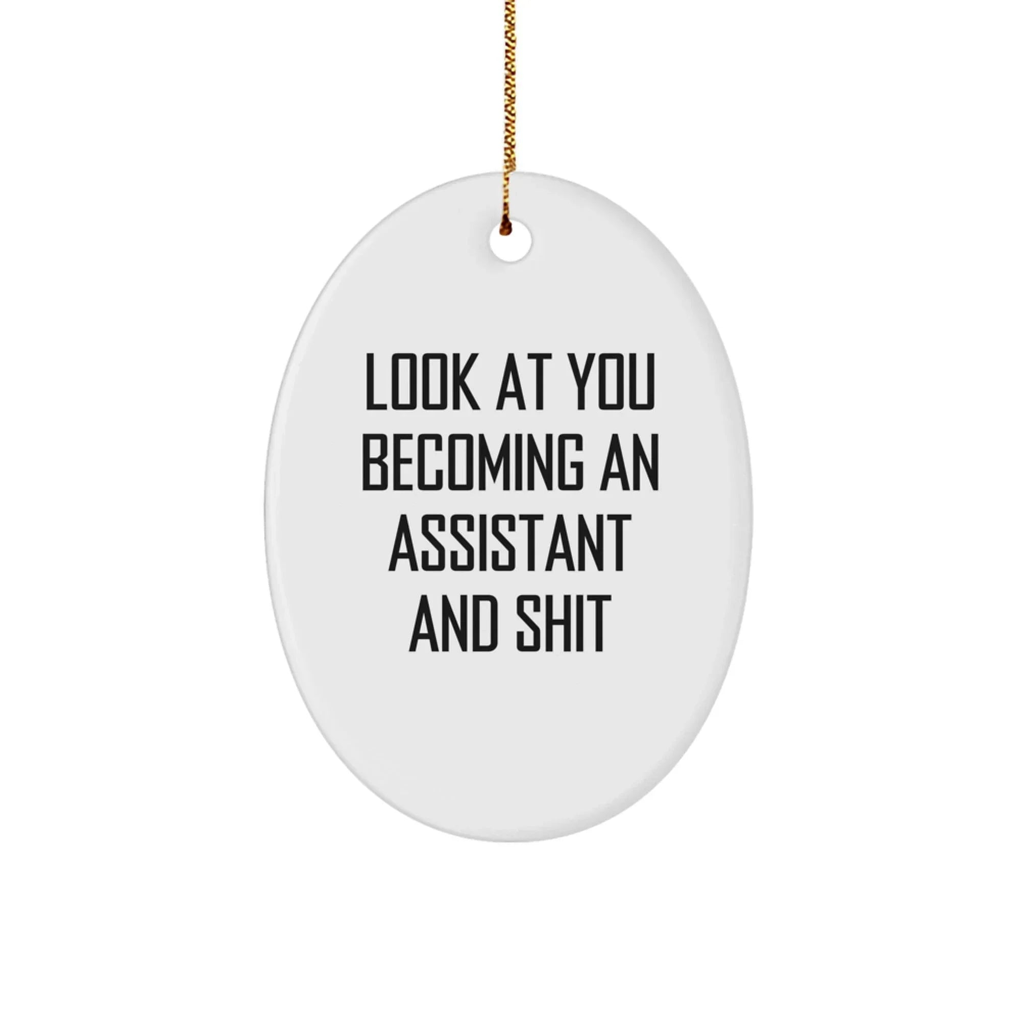 Funny Assistant Oval Ornament Gifts for Men Women Friends Coworkers Family - Unique Office Christmas Decorations