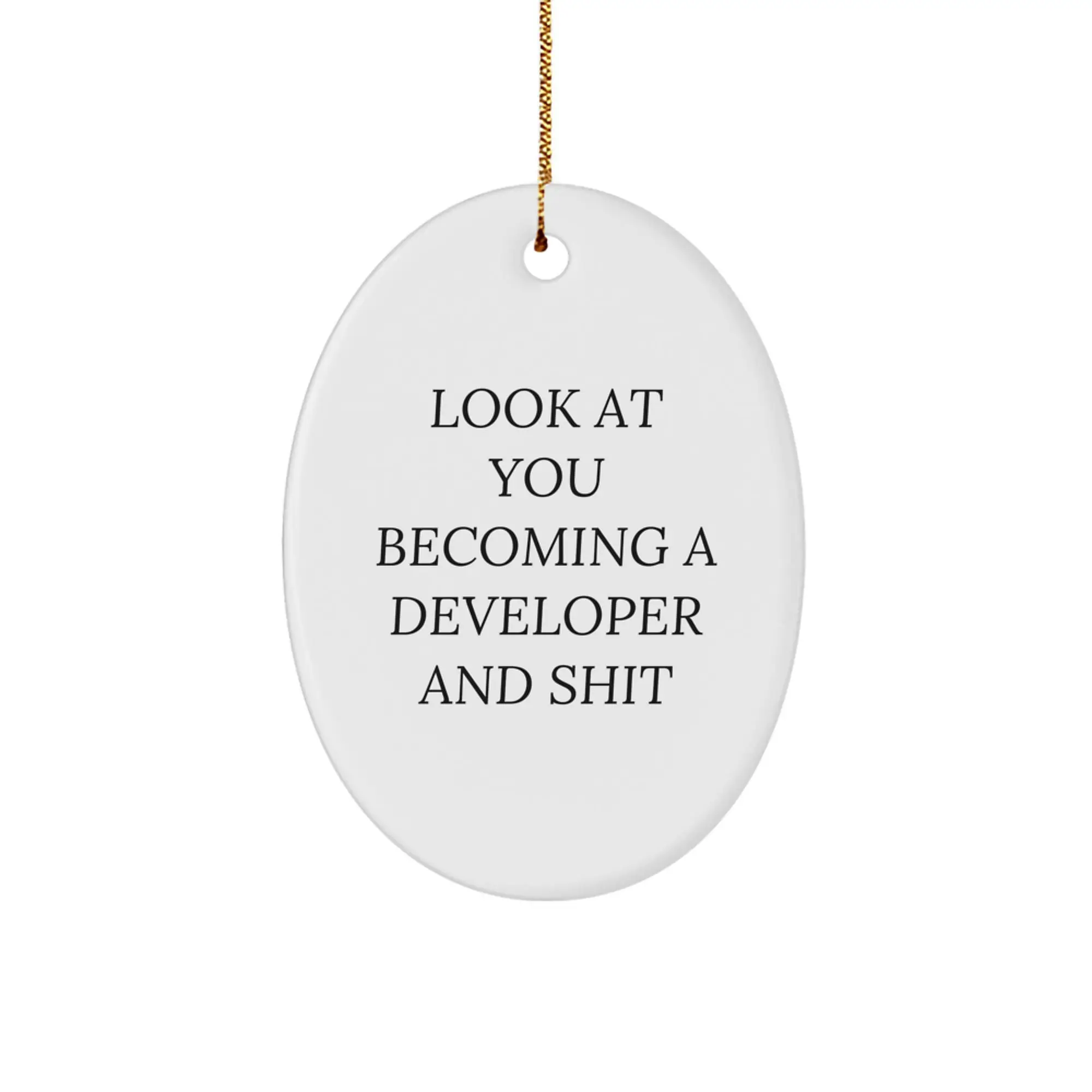 Funny Developer Gifts from Friends for Developer Men, Oval Ornament for Christmas Unique Gifts, Developer Shit Gift Ideas - Image 1