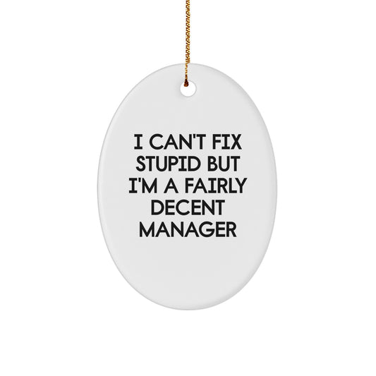 Funny Manager Oval Ornament Gifts from Men to Coworkers for Christmas Unique Decorations, Oval Shaped Oval Manager Gifts, I 'Can't Fix Stupid' Decent Manager Christmas Ornaments - Image 1