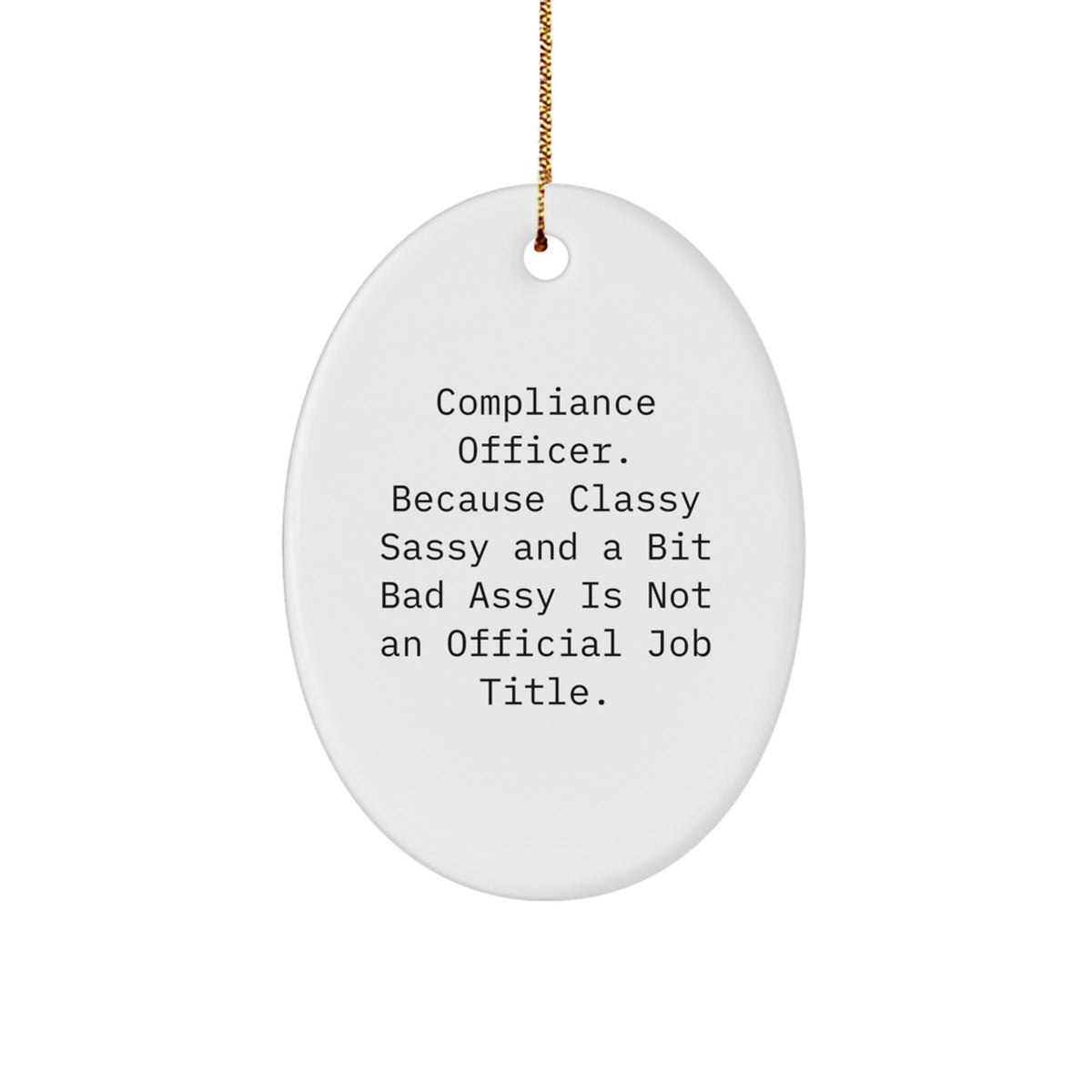 Witty Christmas Ornament Gift for Roommates - Compliance Officer Memento - Image 1