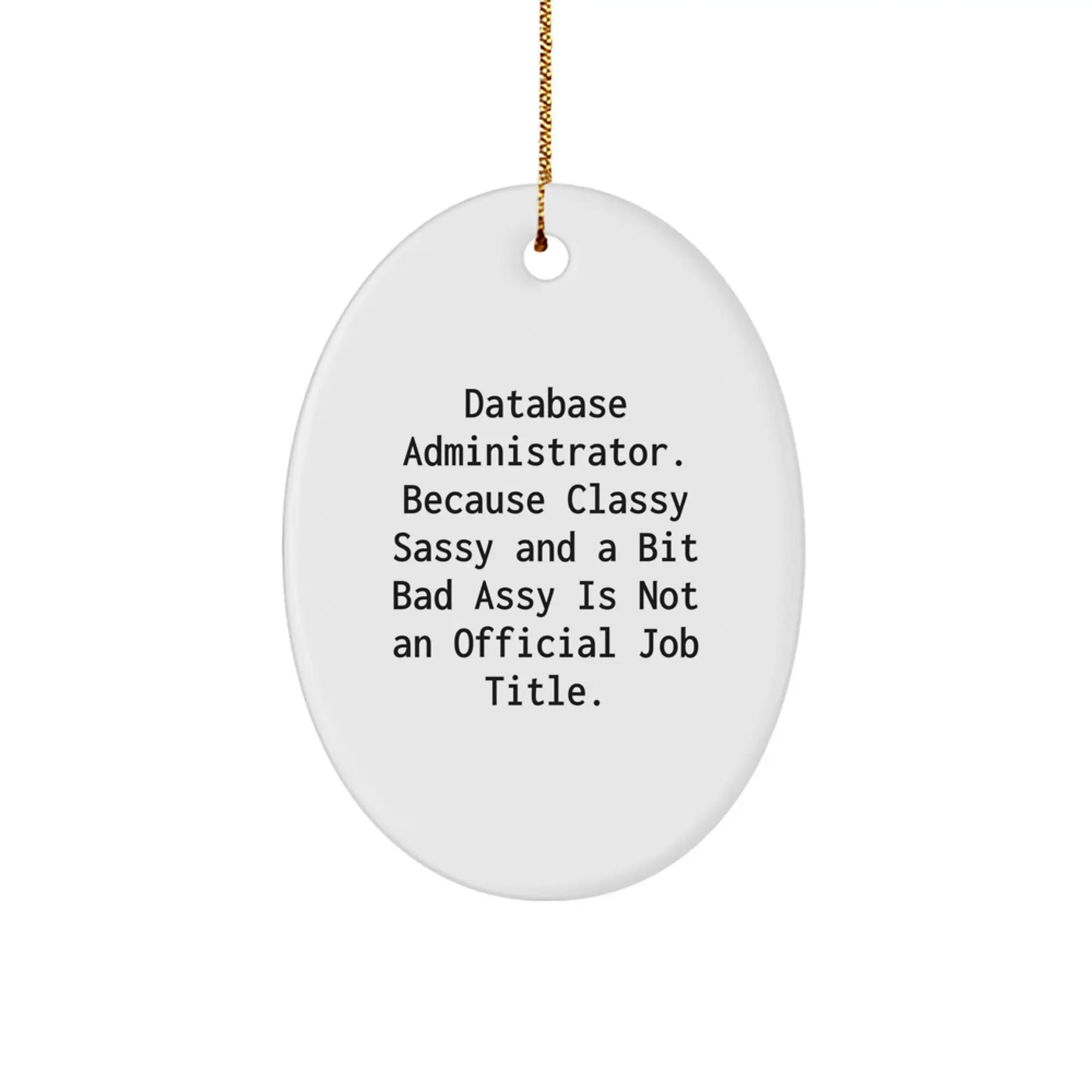 Funny Database Administrator Gifts for Men from Coworkers - Oval Ornament Christmas Unique Tokens for Database Administrator Friends - Image 1