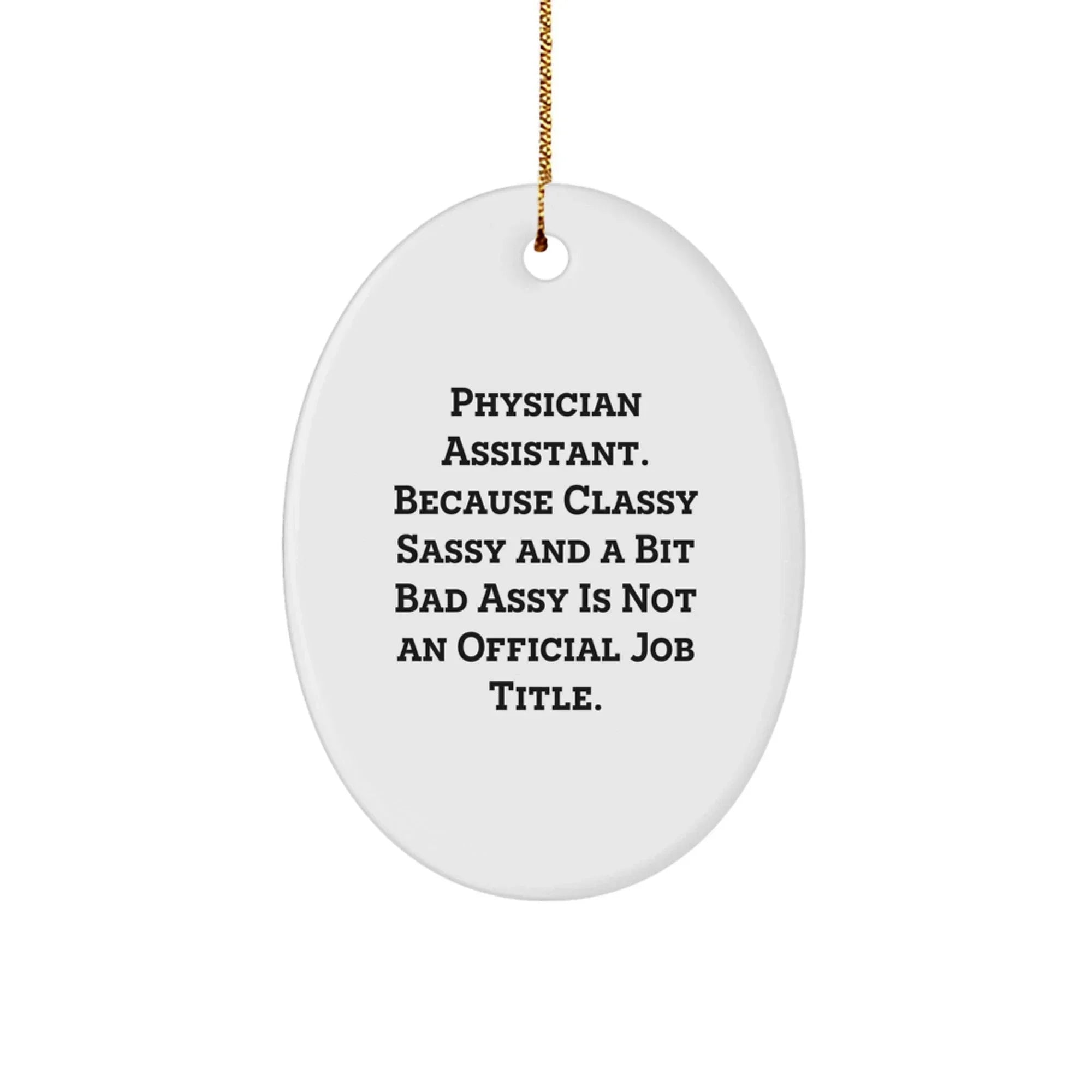 Gifts from Friends for Physician Assistant - Funny Oval Ornament, Physician Assistant Gifts, Christmas Decorations with Humor