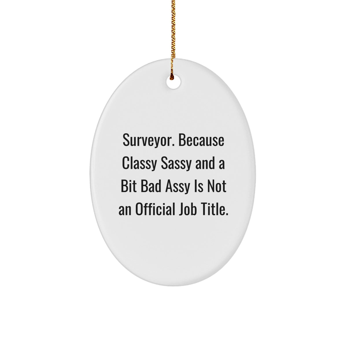 Witty Surveyor Christmas Ornament Gift for Friends - Novelty Holiday - Image 1