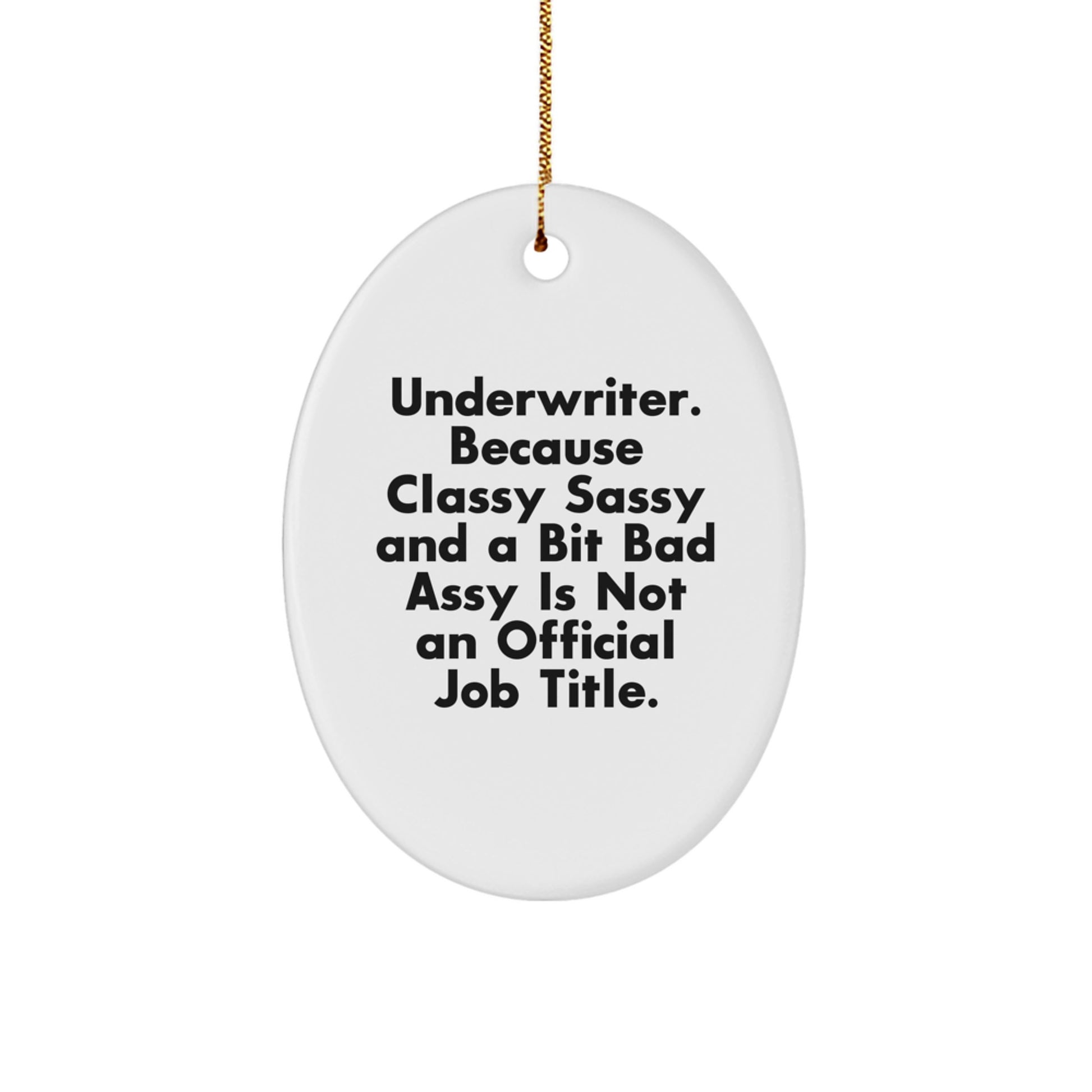 Funny Underwriter Oval Ornament Gifts from Friends for Christmas Unique Presents - Image 1