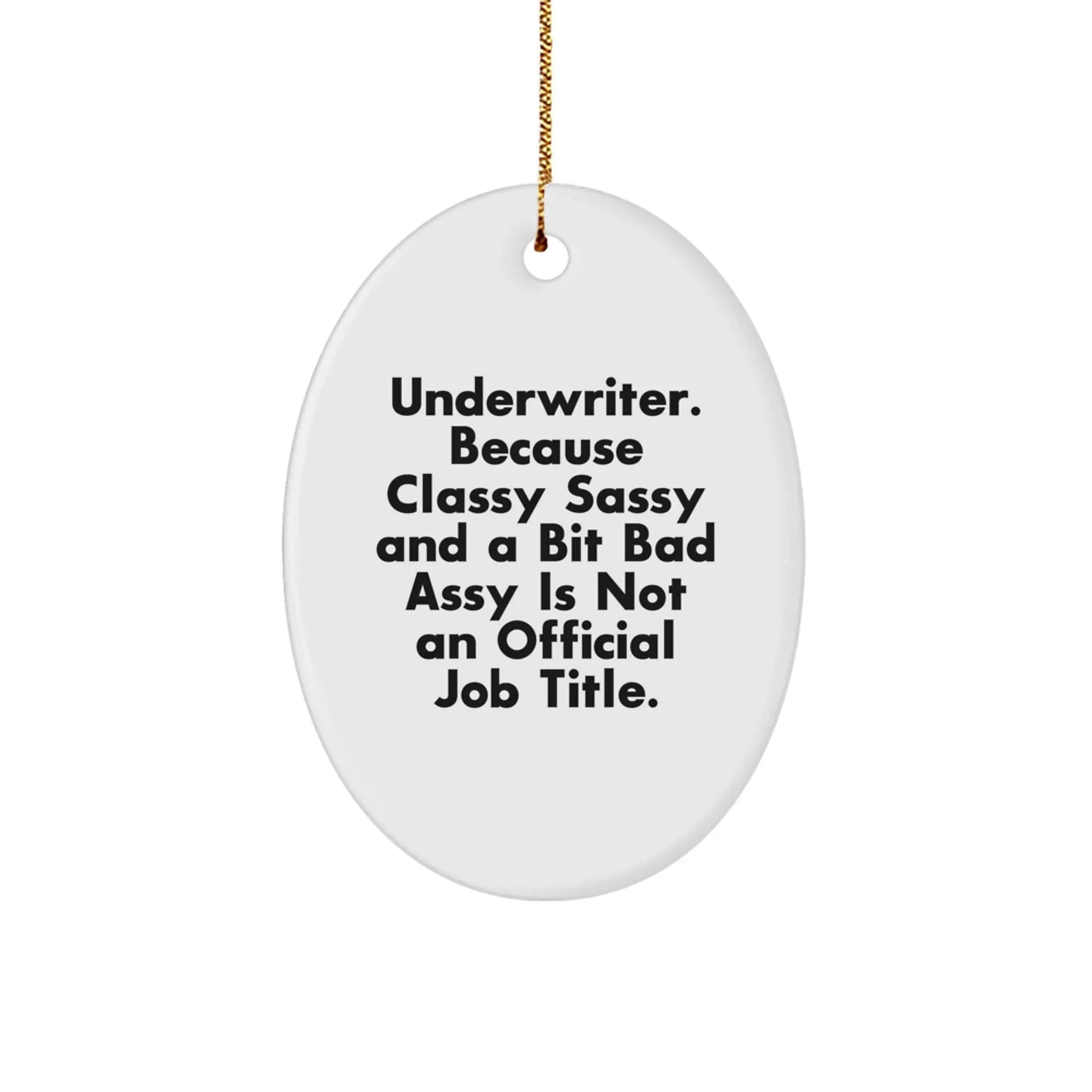 Funny Underwriter Oval Ornament Gifts from Friends for Christmas Unique Presents
