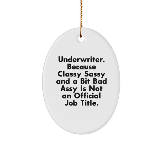 Funny Underwriter Oval Ornament Gifts from Friends for Christmas Unique Presents - Image 1