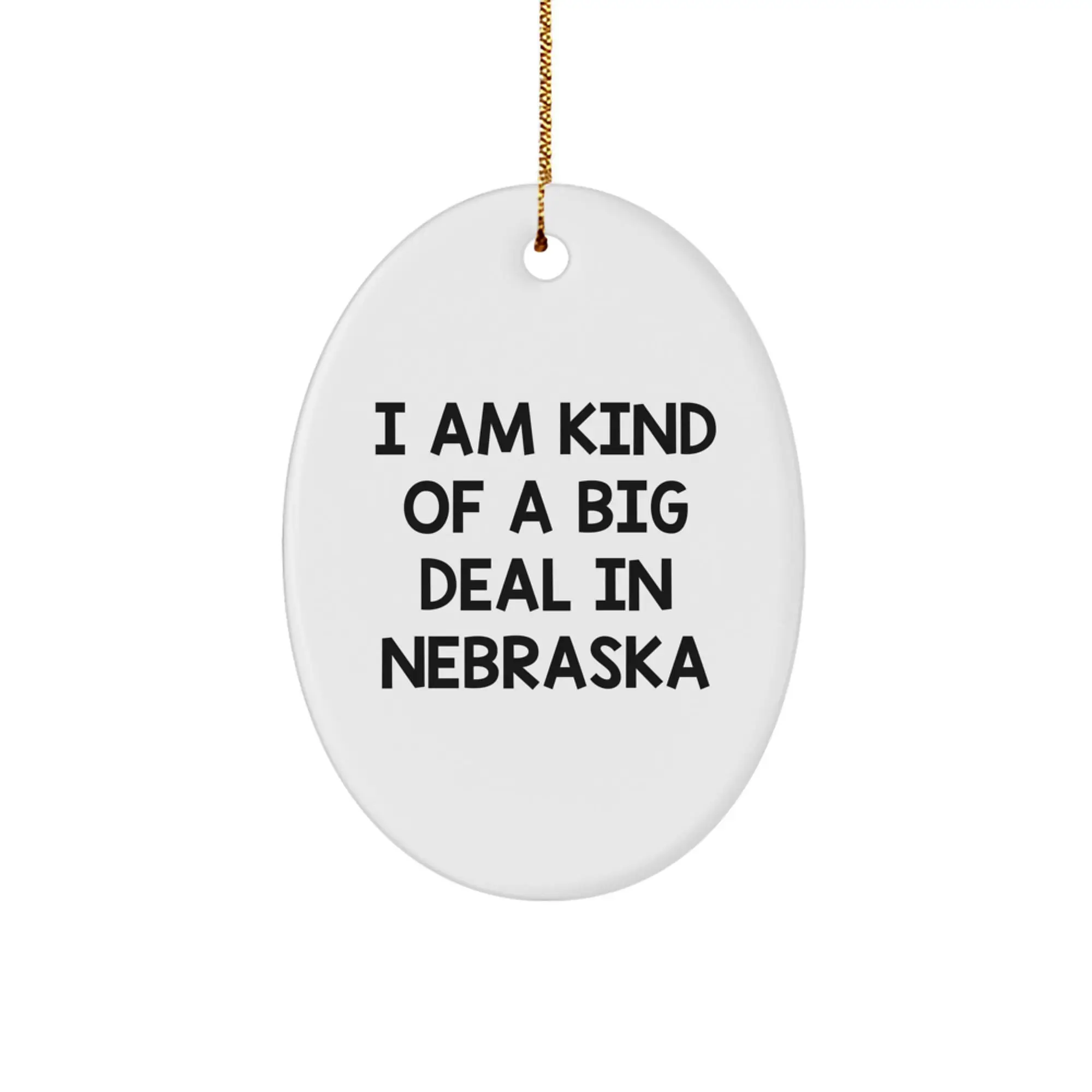 Funny Nebraska State Gifts from Friends and Family - I Am Kind Of A Prime Selection In Nebraska Oval Ornament, Unique Christmas Memorable Presents for Nebraska Men and Women - Image 1