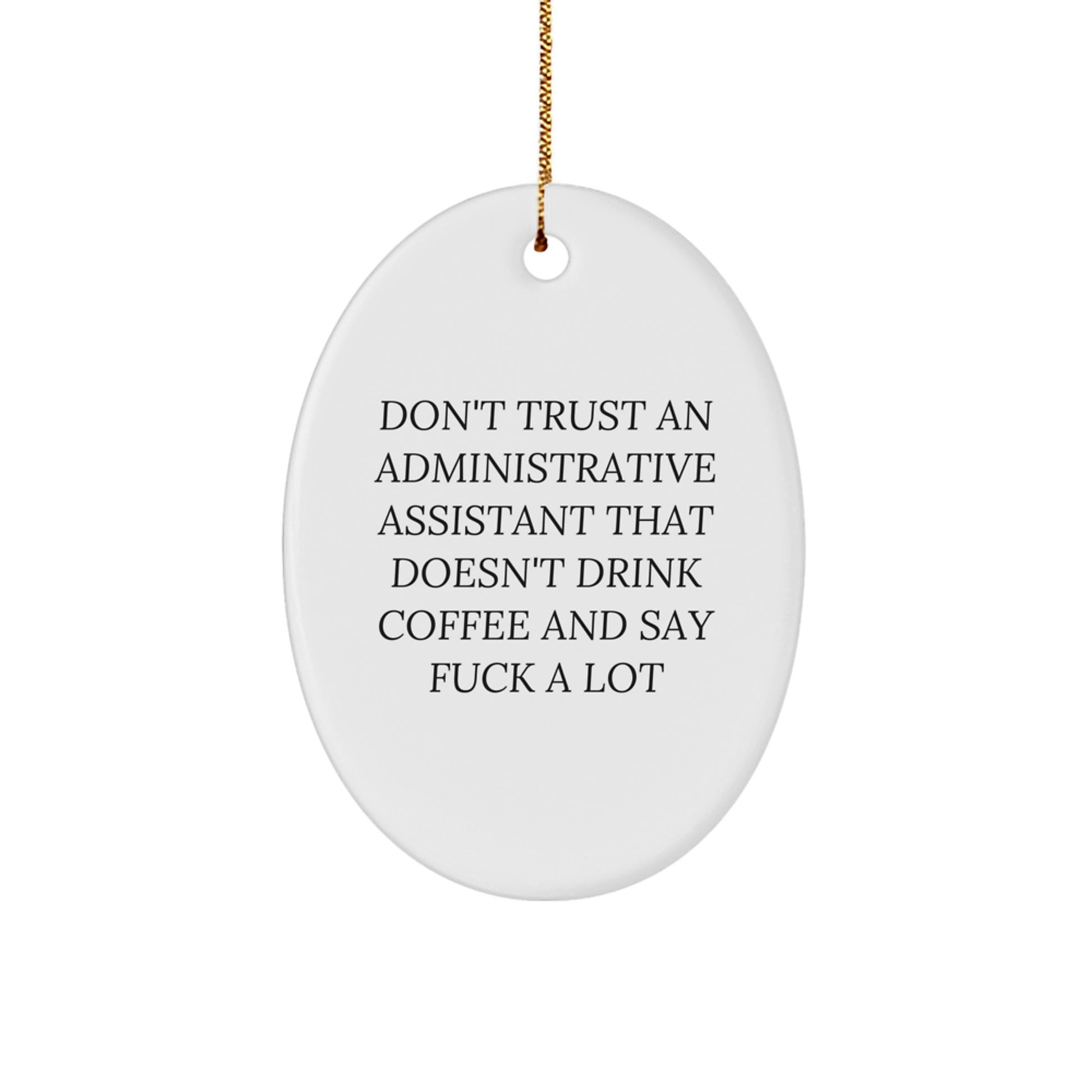 Funny Administrative Assistant Oval Ornament Gifts from Friends for Coworkers Men Women Christmas Unique Decorations - Image 1