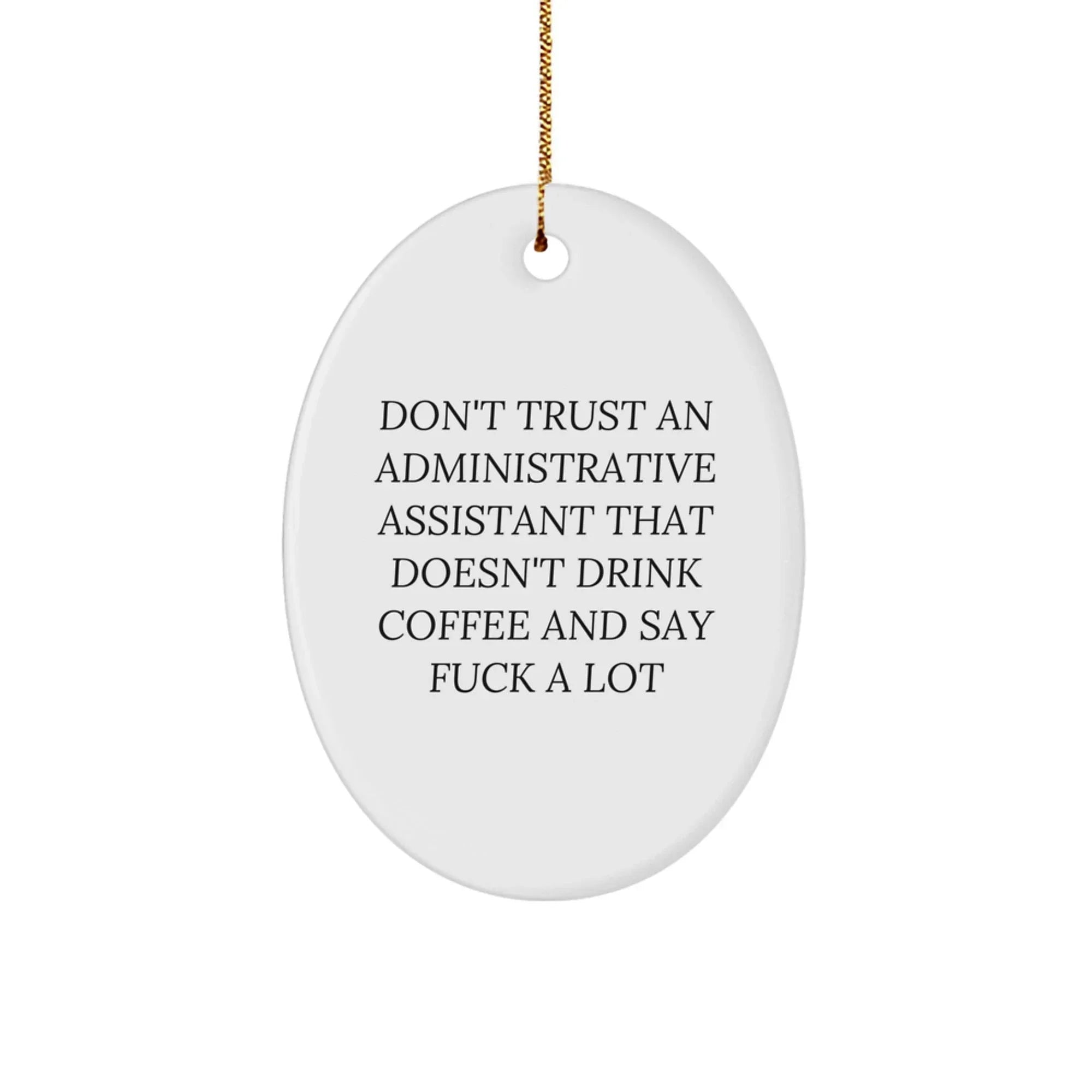 Funny Administrative Assistant Oval Ornament Gifts from Friends for Coworkers Men Women Christmas Unique Decorations