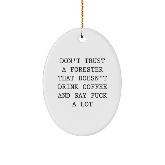 Funny Forester Oval Ornament Gifts from Friends, Gifts for Forester Lovers - Image 1
