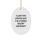 Funny Architect Oval Ornament, Gifts from Friends for Men or Family, I Can't Fix Stupid But I'm A Fairly Decent Architect, Oval Shaped Christmas Unique Gifts - Image 1