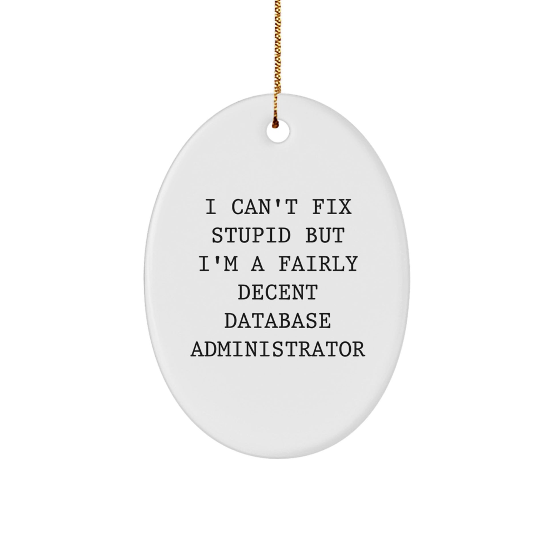 Funny Database Administrator Oval Ornament Gifts for Men from Friends, Christmas Unique Gifts, I Can't Fix Stupid But I'm A Fairly Decent Database Administrator Motivational Quote Oval Decoration - Image 1