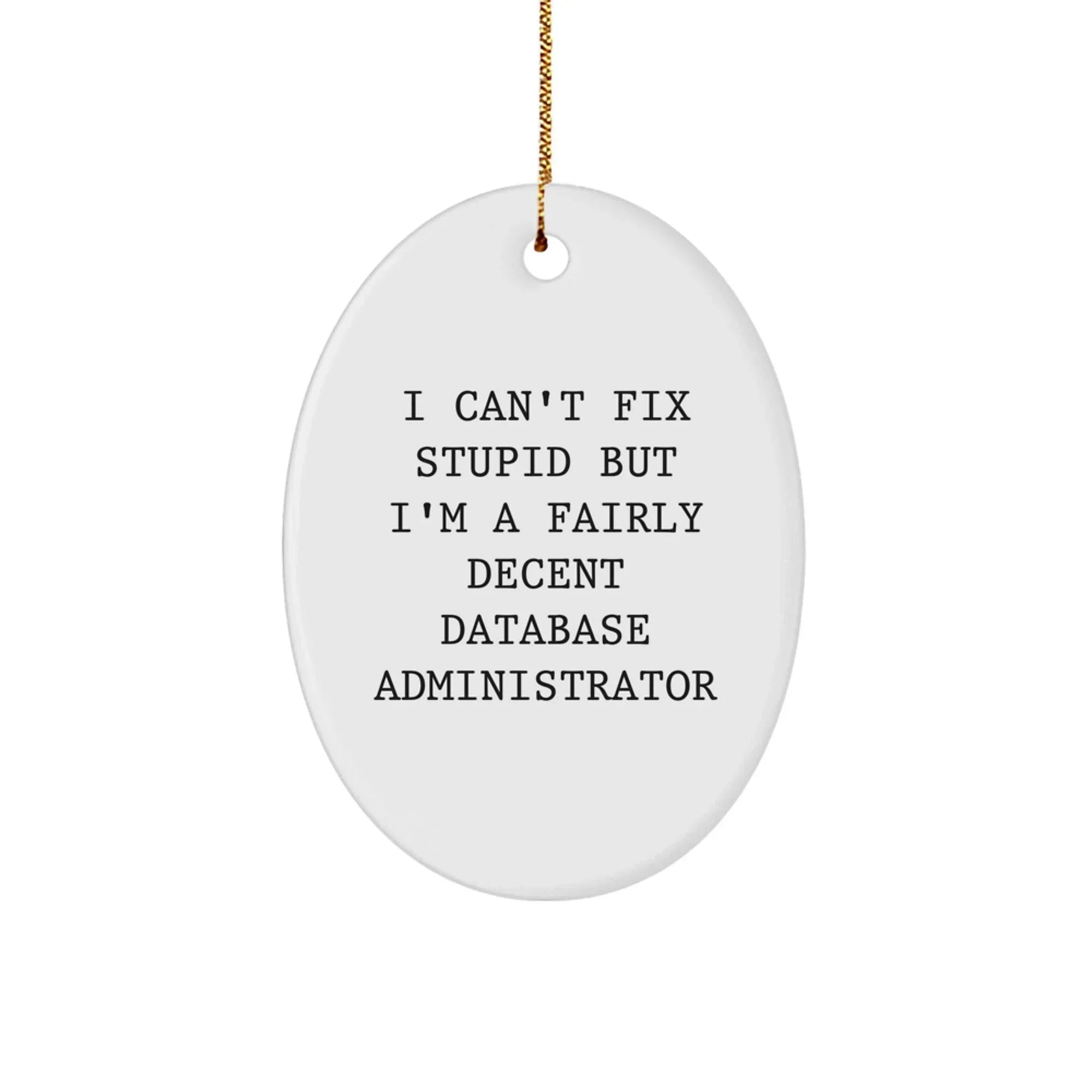 Funny Database Administrator Oval Ornament Gifts for Men from Friends, Christmas Unique Gifts, I Can't Fix Stupid But I'm A Fairly Decent Database Administrator Motivational Quote Oval Decoration