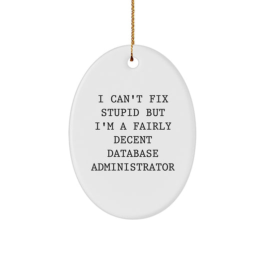 Funny Database Administrator Oval Ornament Gifts for Men from Friends, Christmas Unique Gifts, I Can't Fix Stupid But I'm A Fairly Decent Database Administrator Motivational Quote Oval Decoration - Image 1