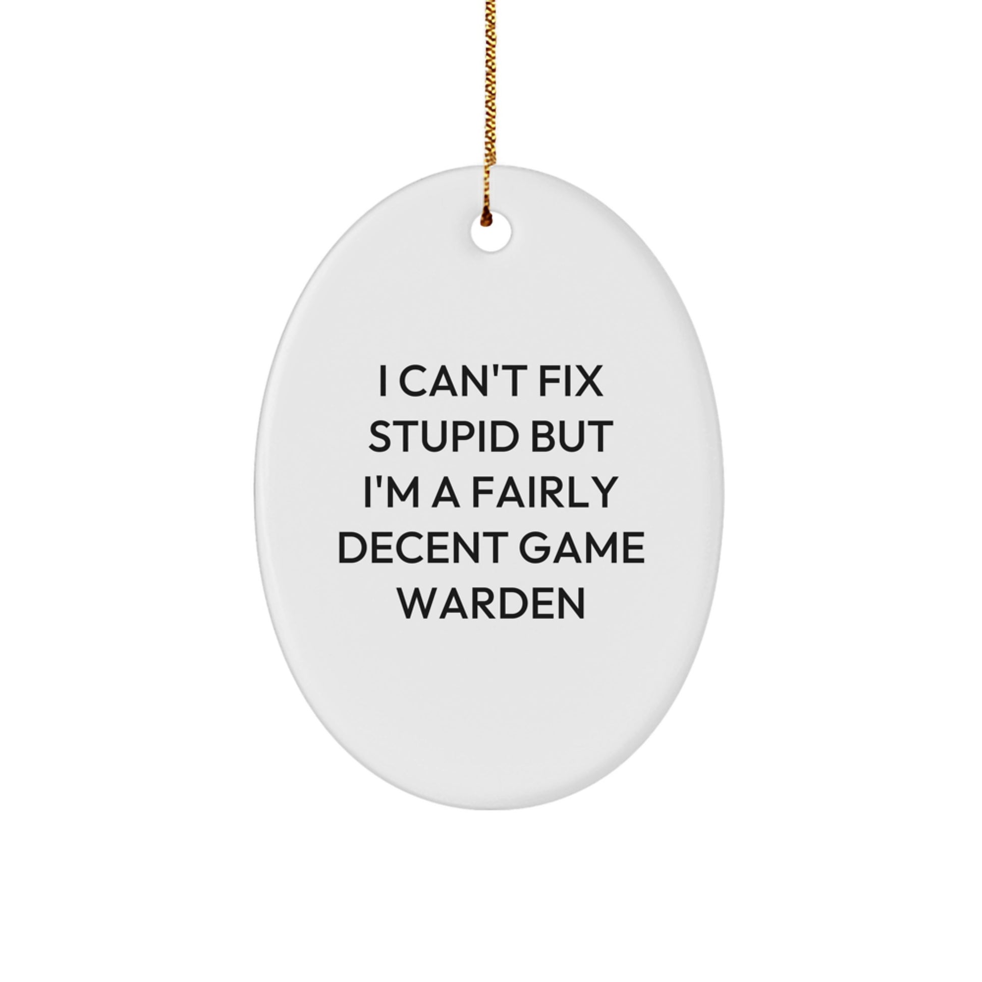 Funny Game Warden Oval Ornament Gifts from Friends and Family for Christmas Unique Decorations I 'Can't Fix Stupid But I'm A Fairly Decent Game Warden' Men Women - Image 1