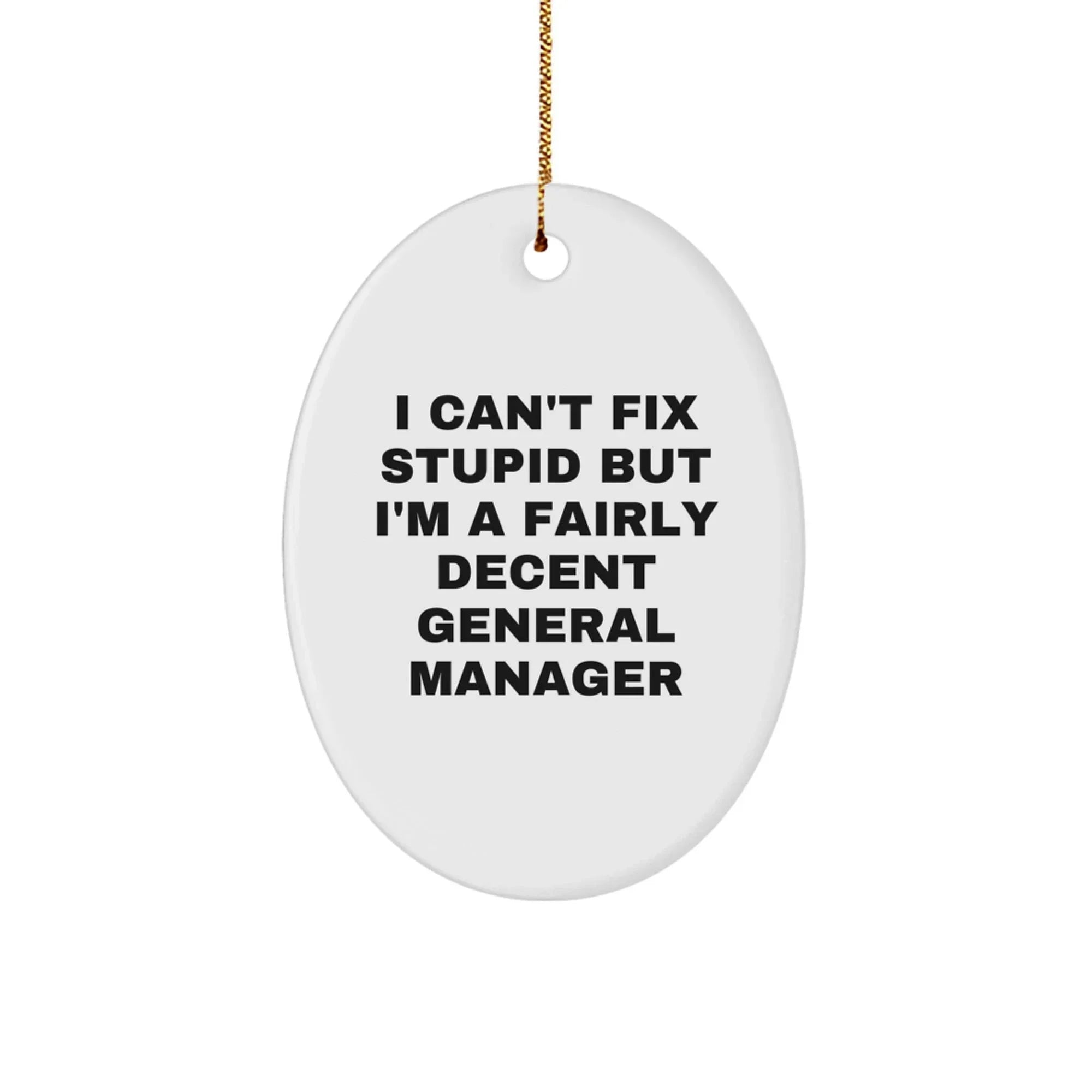 Funny General Manager Gifts for Men - Oval Ornament with I Can't Fix Stupid But I'm A Fairly Decent General Manager Quote, Christmas Unique Gifts for Office Workers