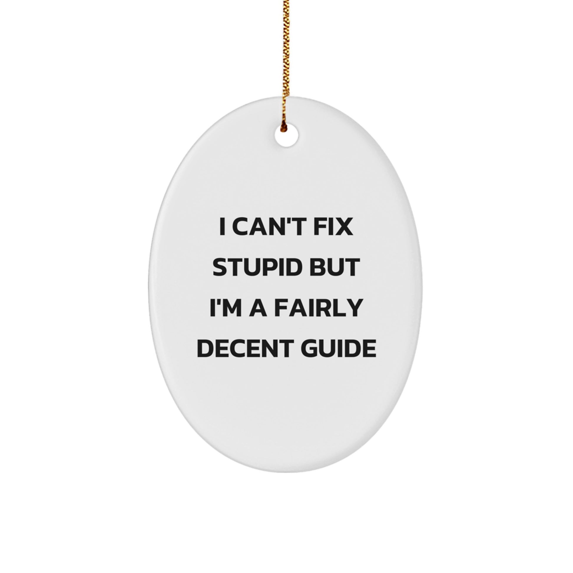 Unique Funny Guide Gifts for Friends and Family - Oval Ornament with I Can't Fix Stupid But I'm A Fairly Decent Guide Quote, Christmas Unique Gift Ideas - Image 1