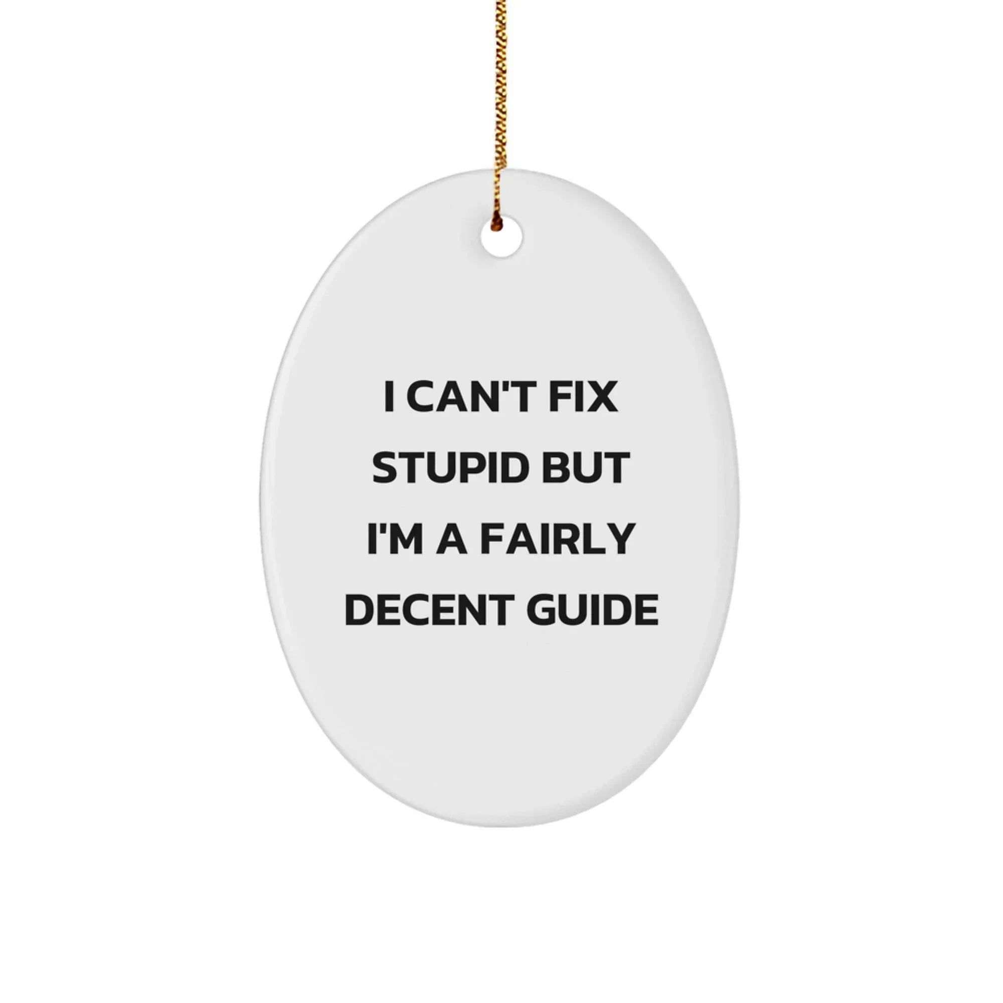 Unique Funny Guide Gifts for Friends and Family - Oval Ornament with I Can't Fix Stupid But I'm A Fairly Decent Guide Quote, Christmas Unique Gift Ideas