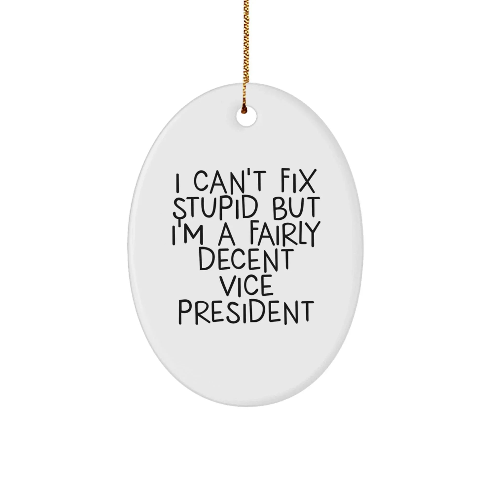 Funny Vice President Oval Ornament Gifts from Friends for Men Women Coworkers Family - I Can't Fix Stupid But I'm A Fairly Decent Vice President