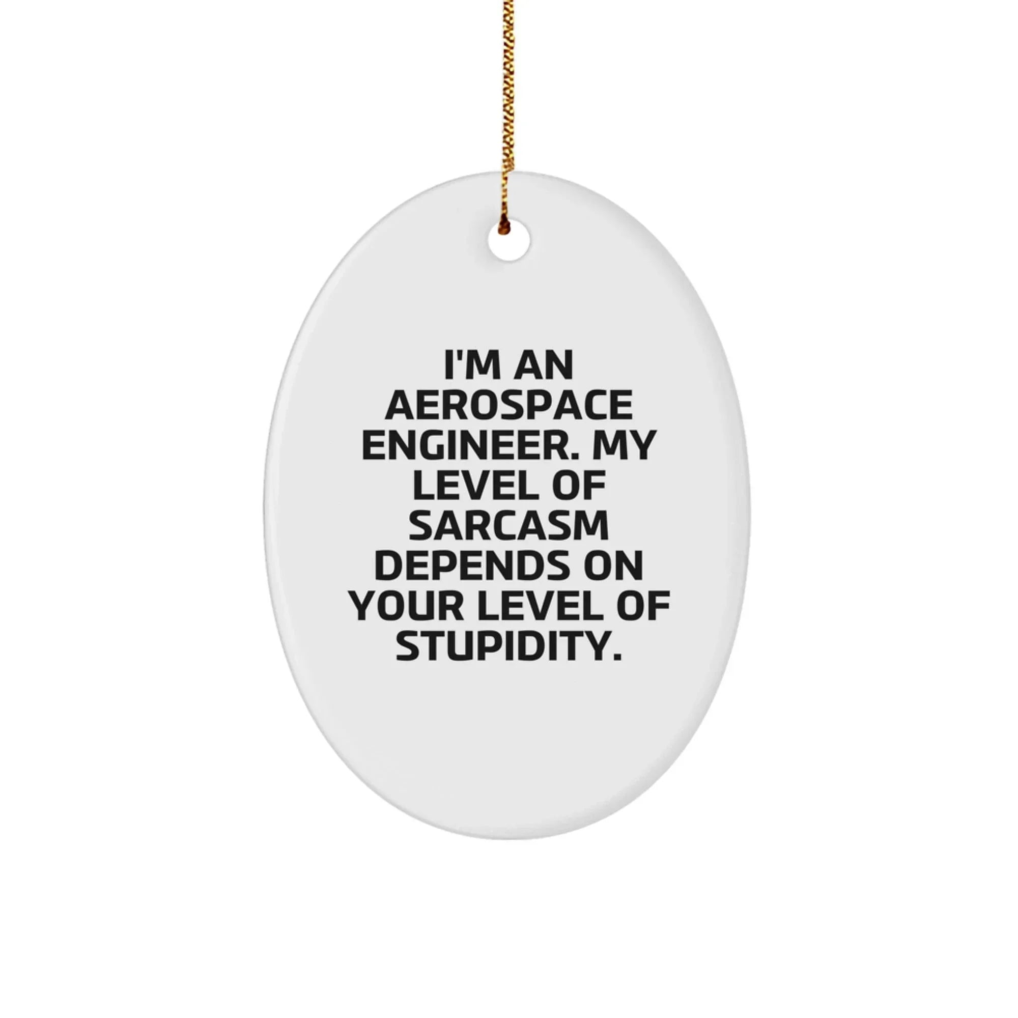 Funny Aerospace Engineer Oval Ornament, Gifts from Friends for Men, Women, Coworkers, 'I'm an Aerospace Engineer. My Level Of Sarcasm Depends On Your Level Of Stupidity.'