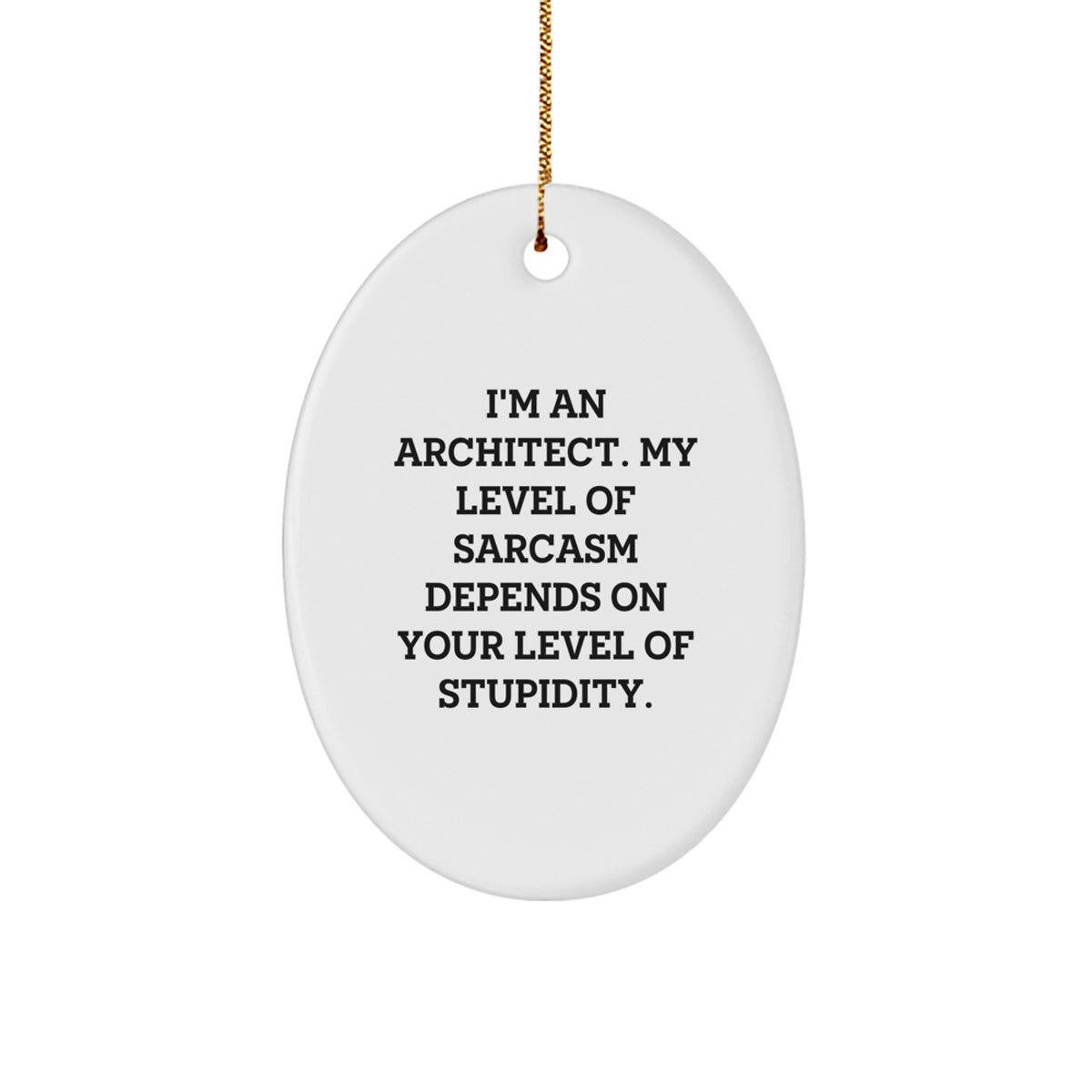 Sarcastic Architect Oval Ornament Gift for Friends – Novelty Christmas - Image 1