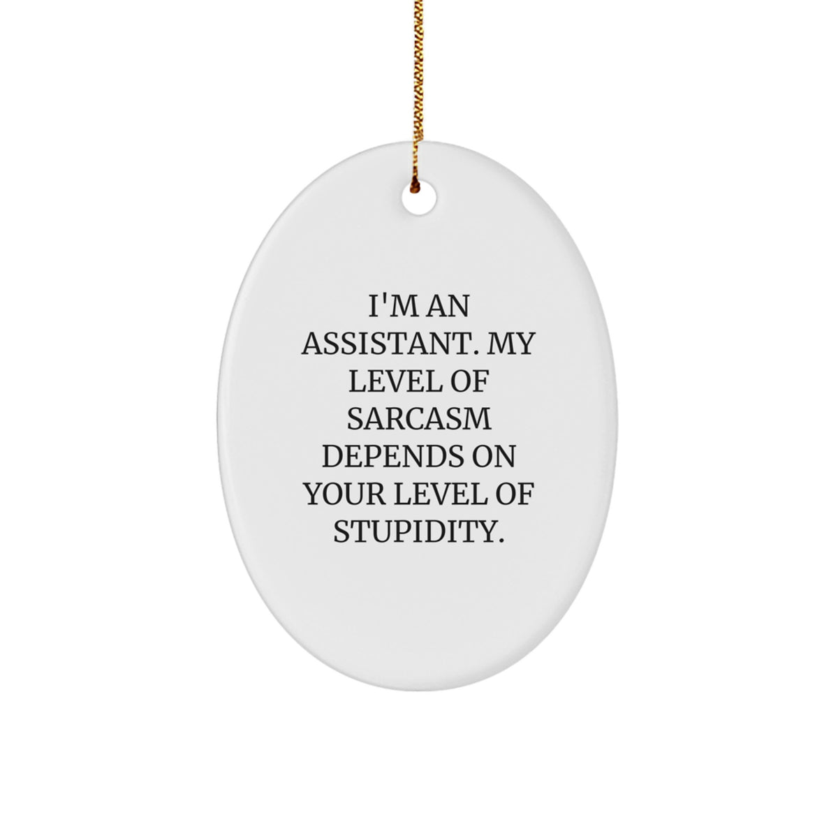 Assistant Keepsake Bright Durable Christmas Ornament for Him Gift - Image 1