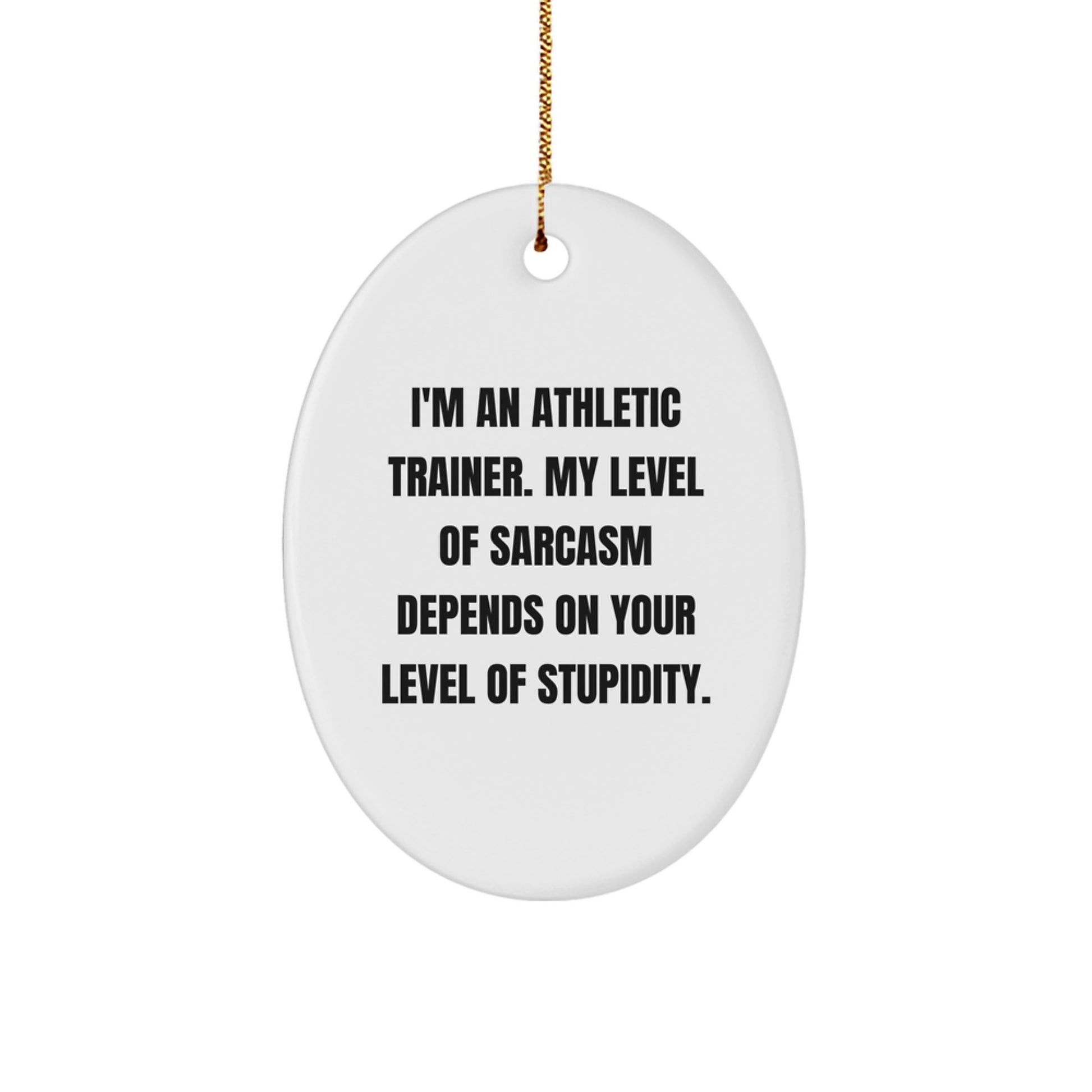 Funny Athletic Trainer Oval Ornament Gifts from Friends for Men on Christmas Unique - Image 1
