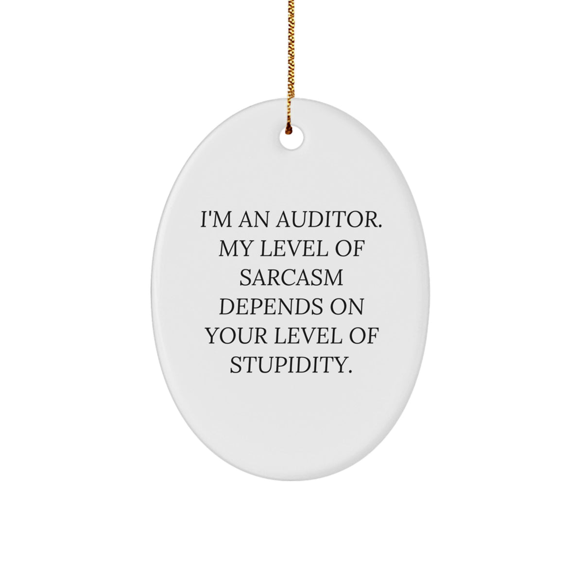 Sassy Auditor Novelty Christmas Ornament for Friends Gift - Image 1
