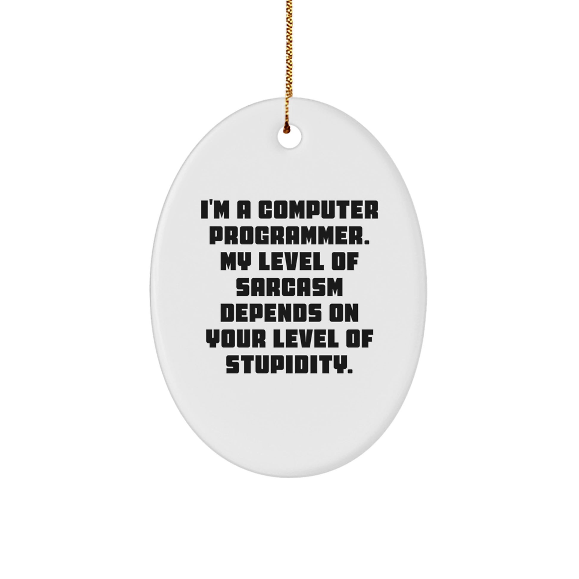 Computer Programmer Gift - Funny Oval Ornament, 'I'm A Computer Programmer' Quote - Christmas Unique Gifts from Friends for Men - Image 1