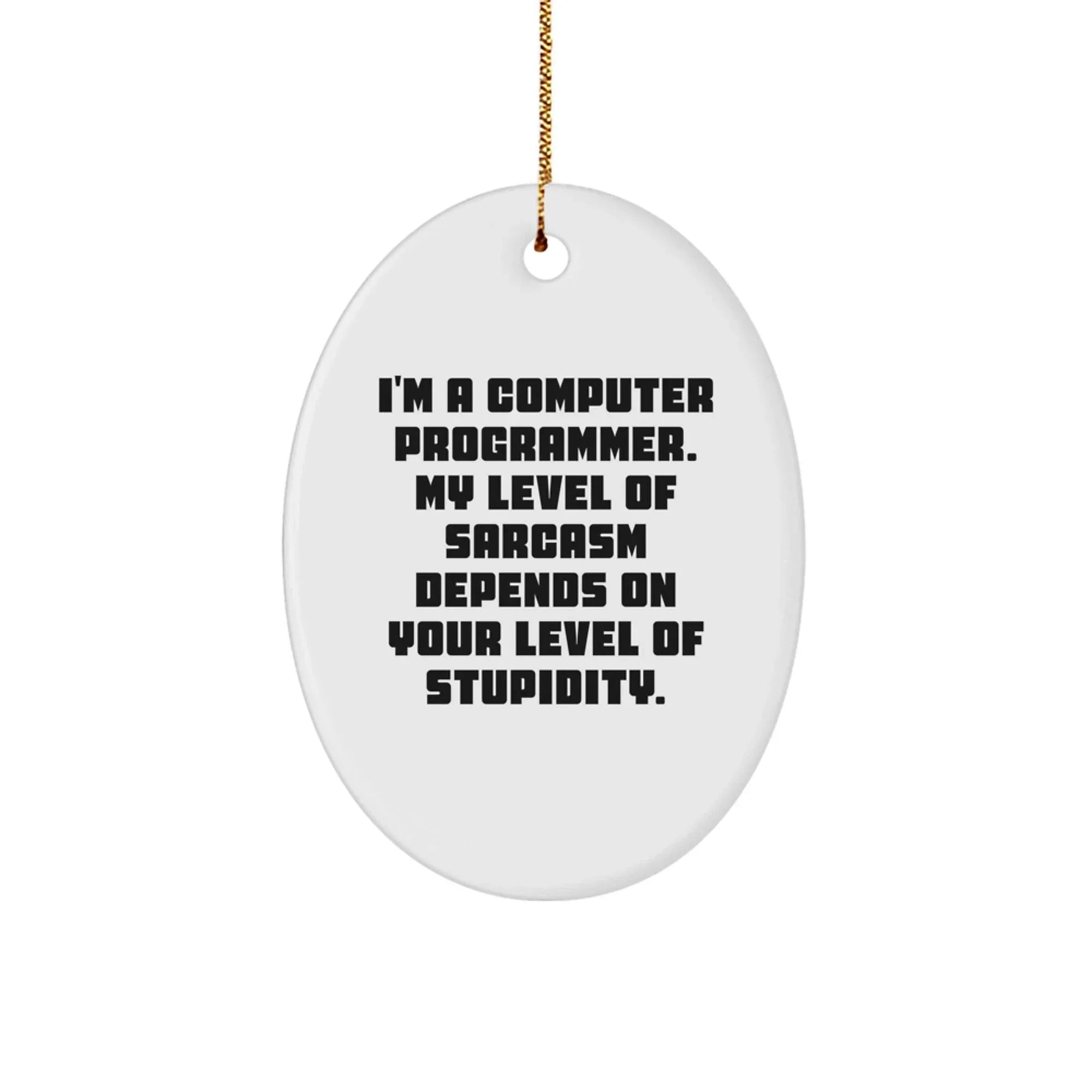 Computer Programmer Gift - Funny Oval Ornament, 'I'm A Computer Programmer' Quote - Christmas Unique Gifts from Friends for Men