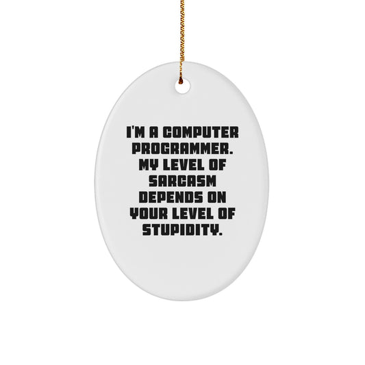 Computer Programmer Gift - Funny Oval Ornament, 'I'm A Computer Programmer' Quote - Christmas Unique Gifts from Friends for Men - Image 1