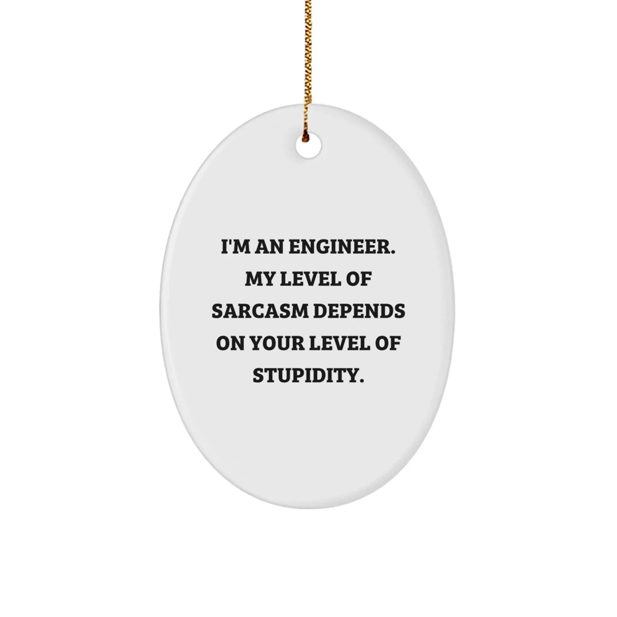 Funny Engineer Gifts from Friends for Christmas - Oval Ornament, Sarcasm Humor, Engineer Humor, Engineer Christmas Unique Gifts