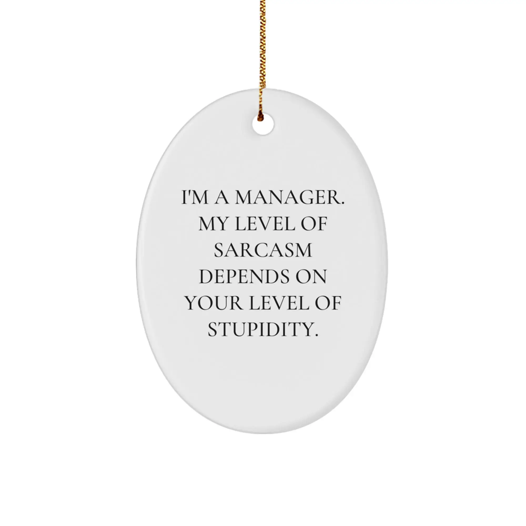 Funny Manager Gifts for Him - 'I'm A Manager. My Level Of Sarcasm Depends On Your Level Of Stupidity.' Oval Ornament - Christmas Unique Gifts from Friends - Image 1