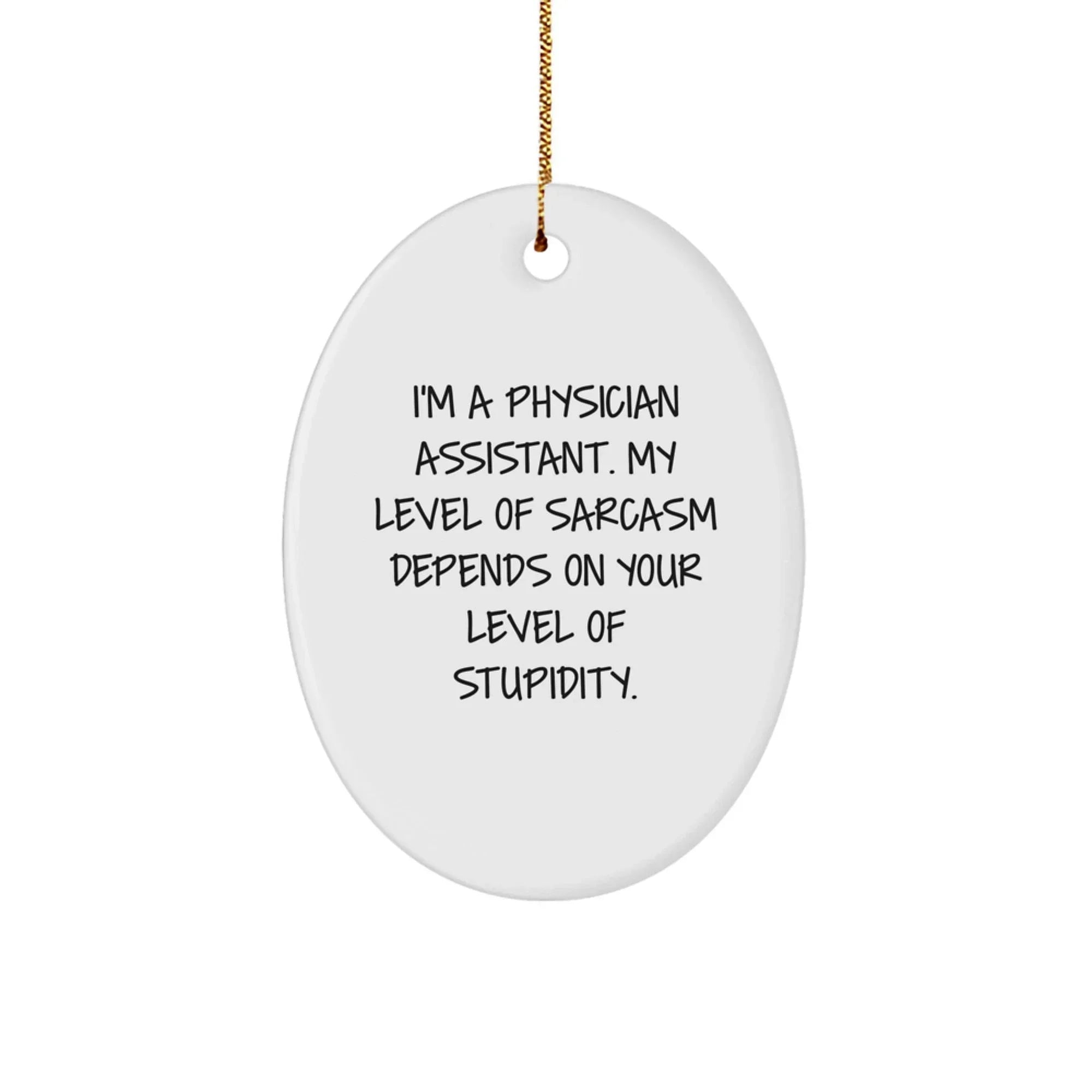 Funny Physician Assistant Gifts, Oval Ornament for Christmas Unique Gifts from Friends to Physician Assistant, Sarcastic Quote
