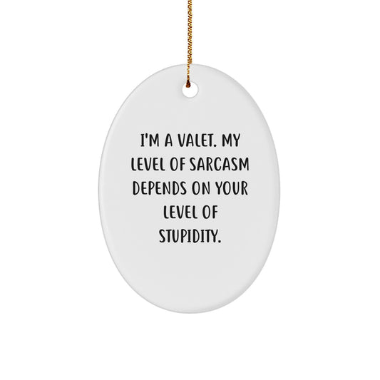 Funny Valet Gifts from Men, Women, Friends, Coworkers, Family - I'm A Valet, My Level Of Sarcasm Depends On Your Level Of Stupidity, Oval Ornament for Christmas Unique Gifts - Image 1