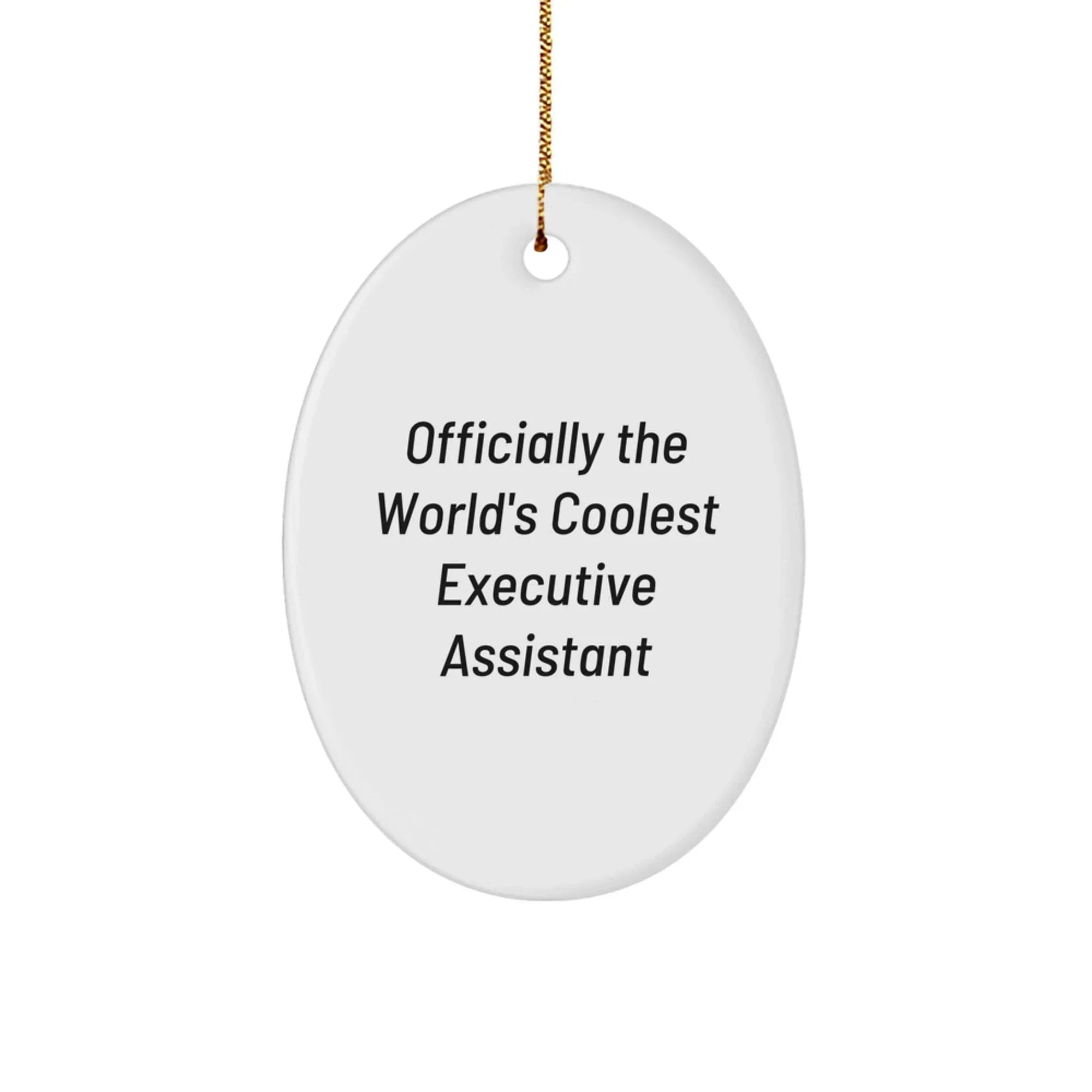 Funny Executive Assistant Oval Ornament Gifts from Men to Women Friends Christmas Office Decoration