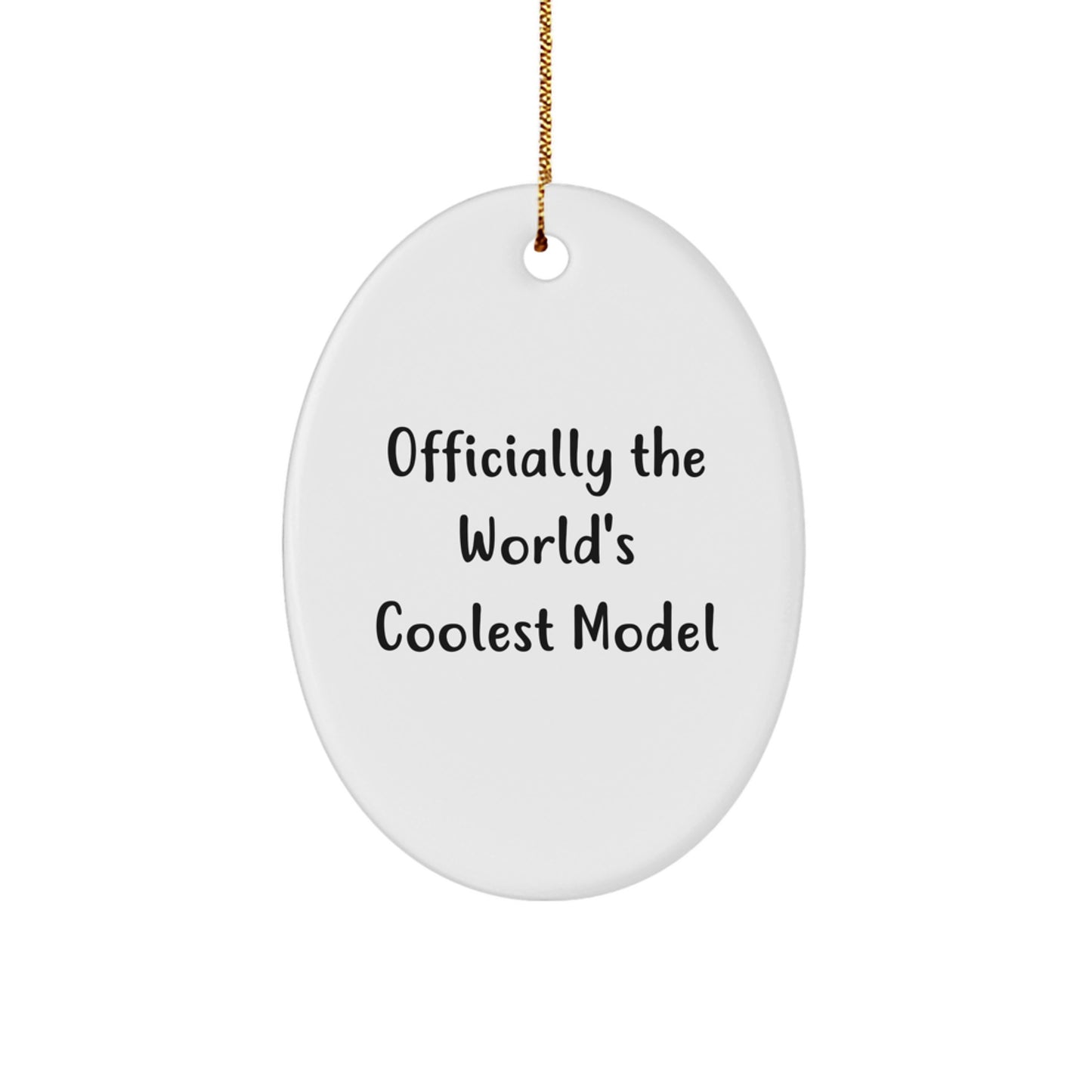 World's Coolest Model Oval Ornament Gifts from Friends for Model Fans Christmas Unique Gifts - Image 1