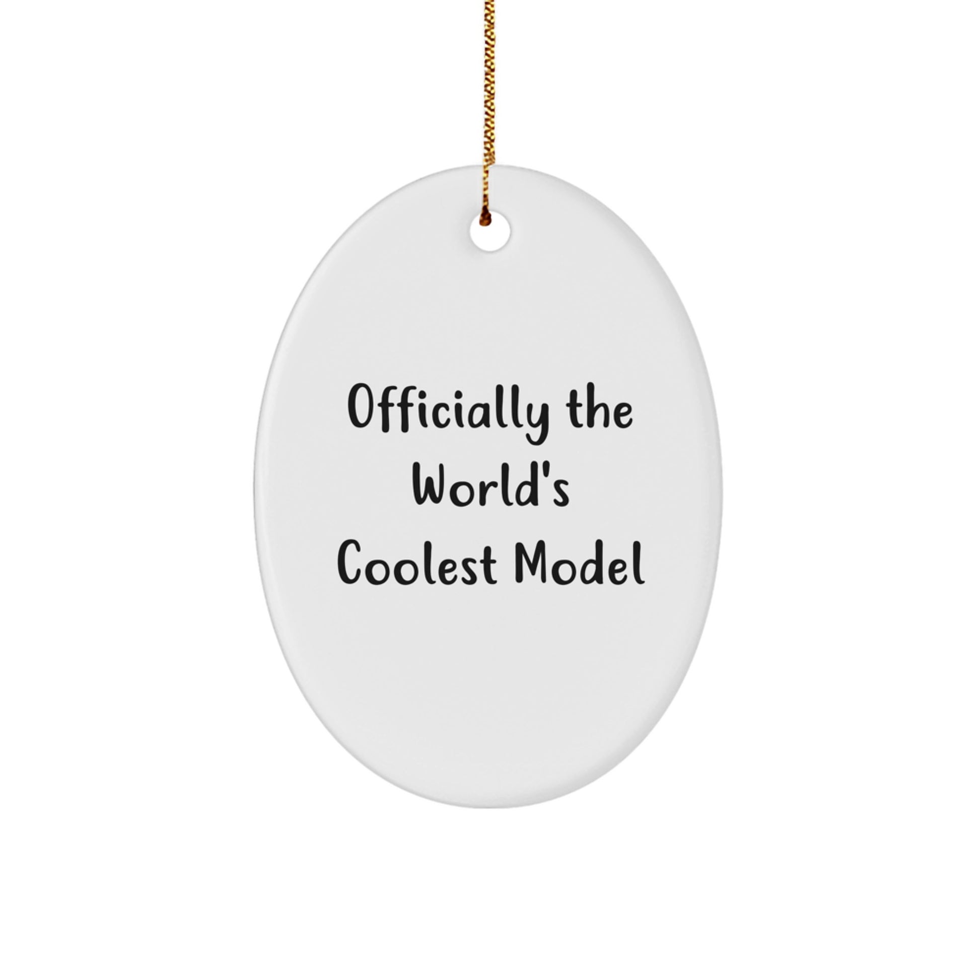 World's Coolest Model Oval Ornament Gifts from Friends for Model Fans Christmas Unique Gifts - Image 1