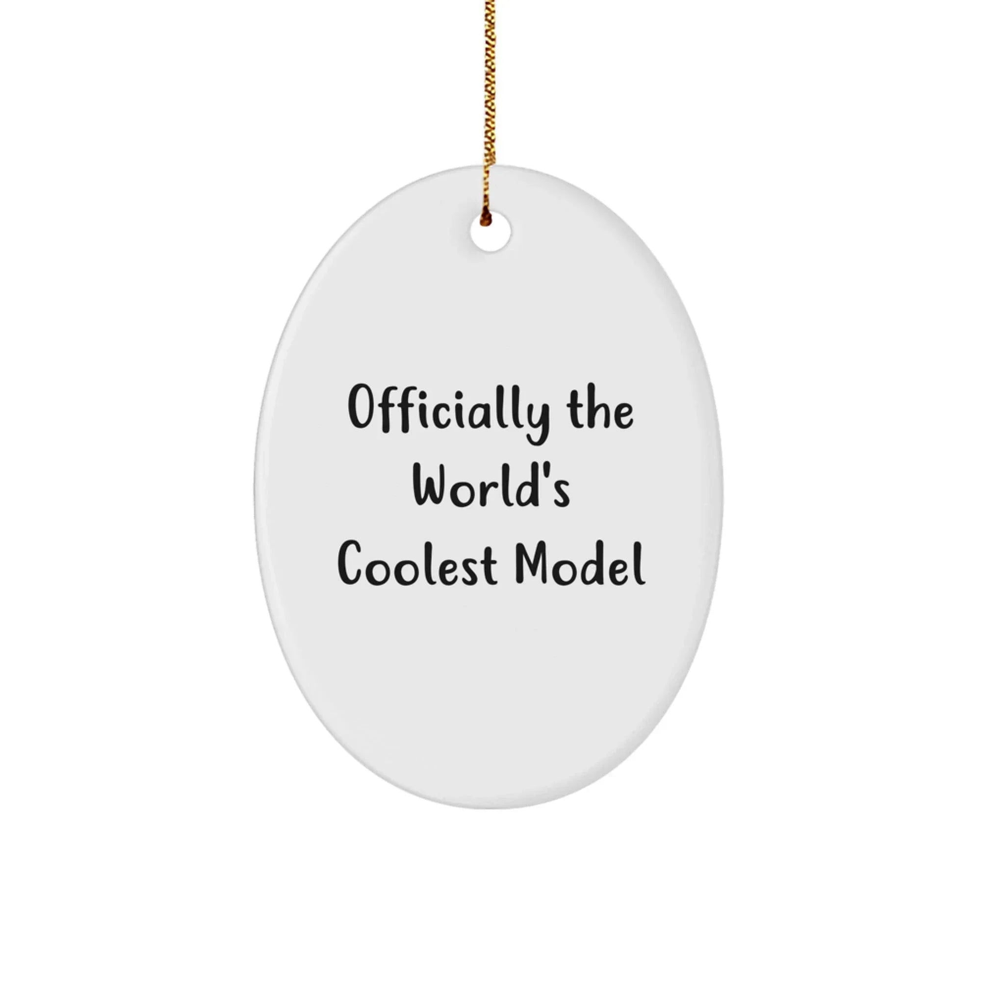 World's Coolest Model Oval Ornament Gifts from Friends for Model Fans Christmas Unique Gifts