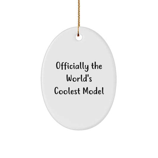 World's Coolest Model Oval Ornament Gifts from Friends for Model Fans Christmas Unique Gifts - Image 1