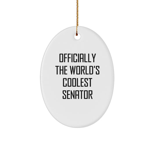 Funny Senator Oval Ornament Gifts from Friends - Officially The World's Coolest Senator - Christmas Unique Gifts for Senator - Image 1
